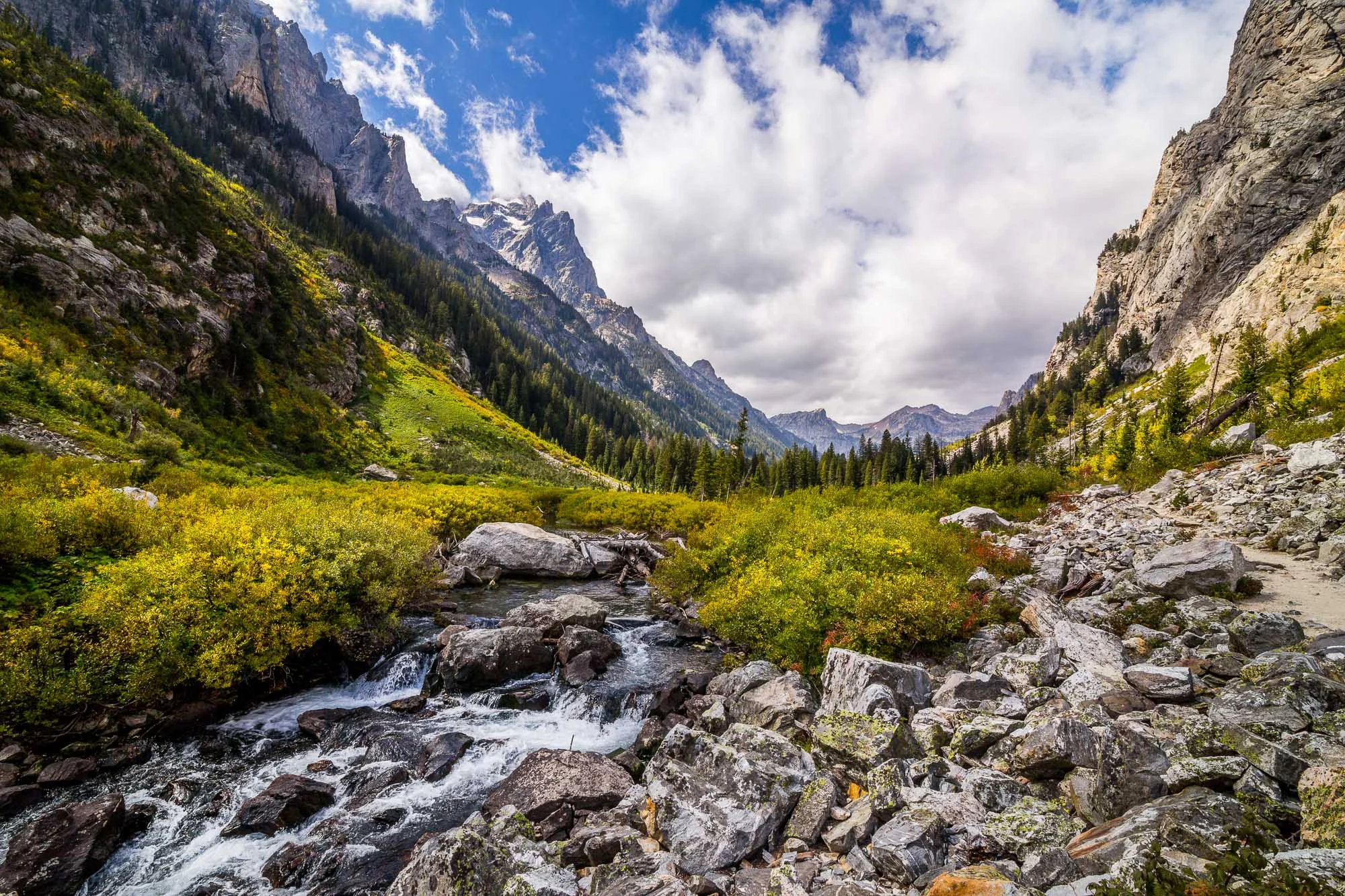 Grand Tetons 3