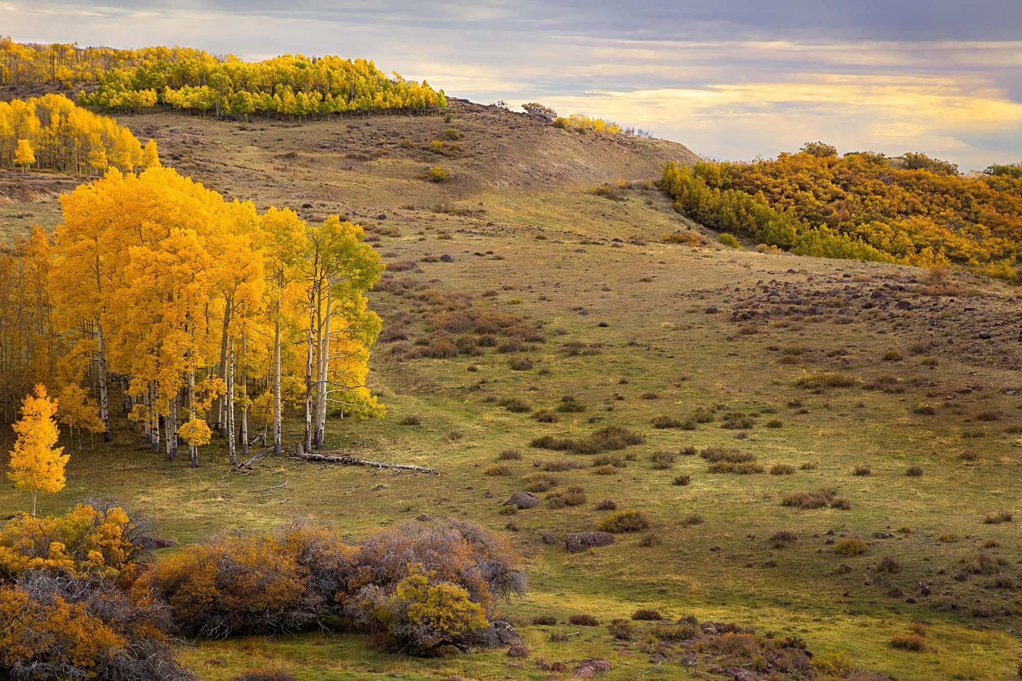 Aspens of Utah