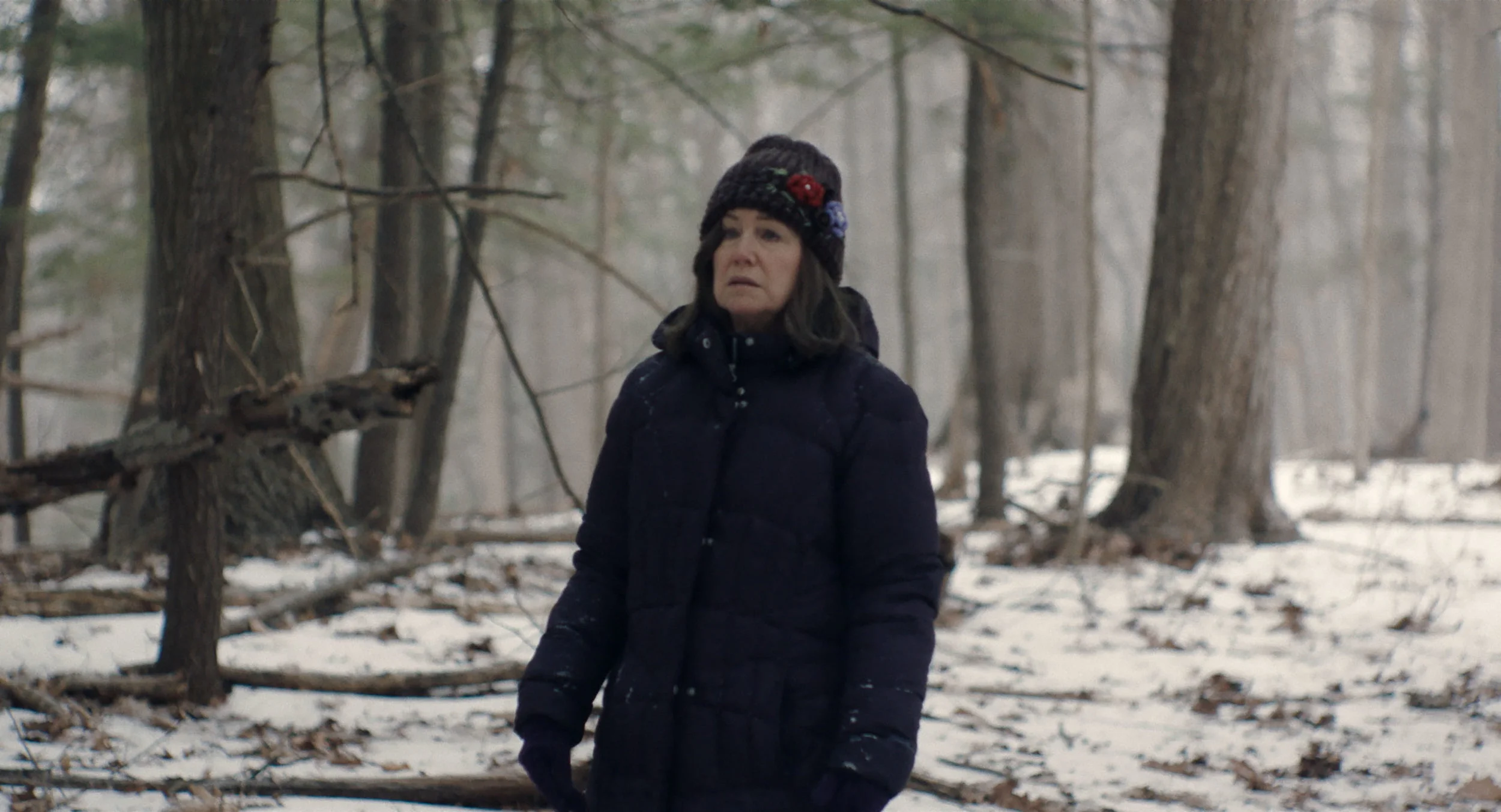 DIANE snow .jpg