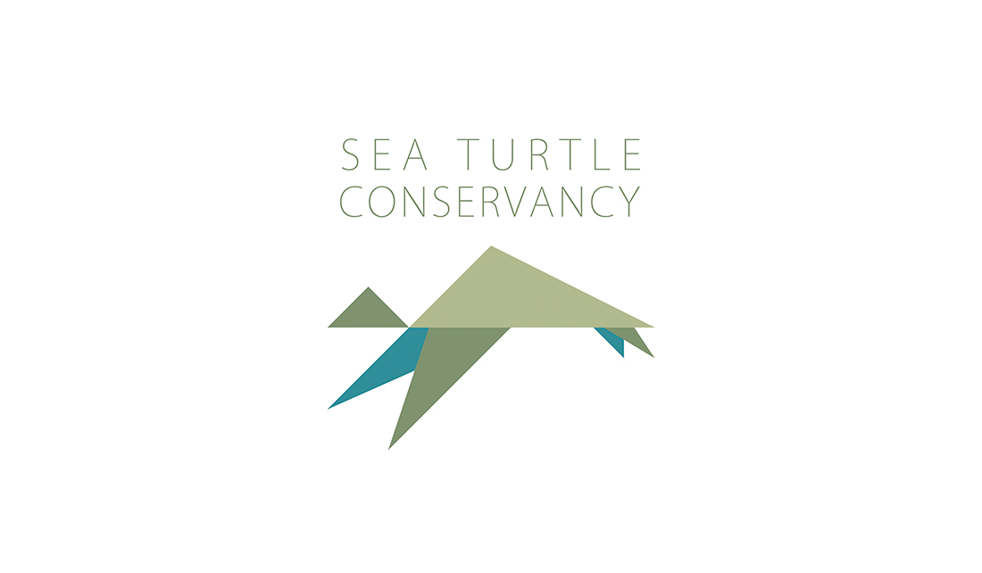 STC-Logo-NancyZhang.jpg