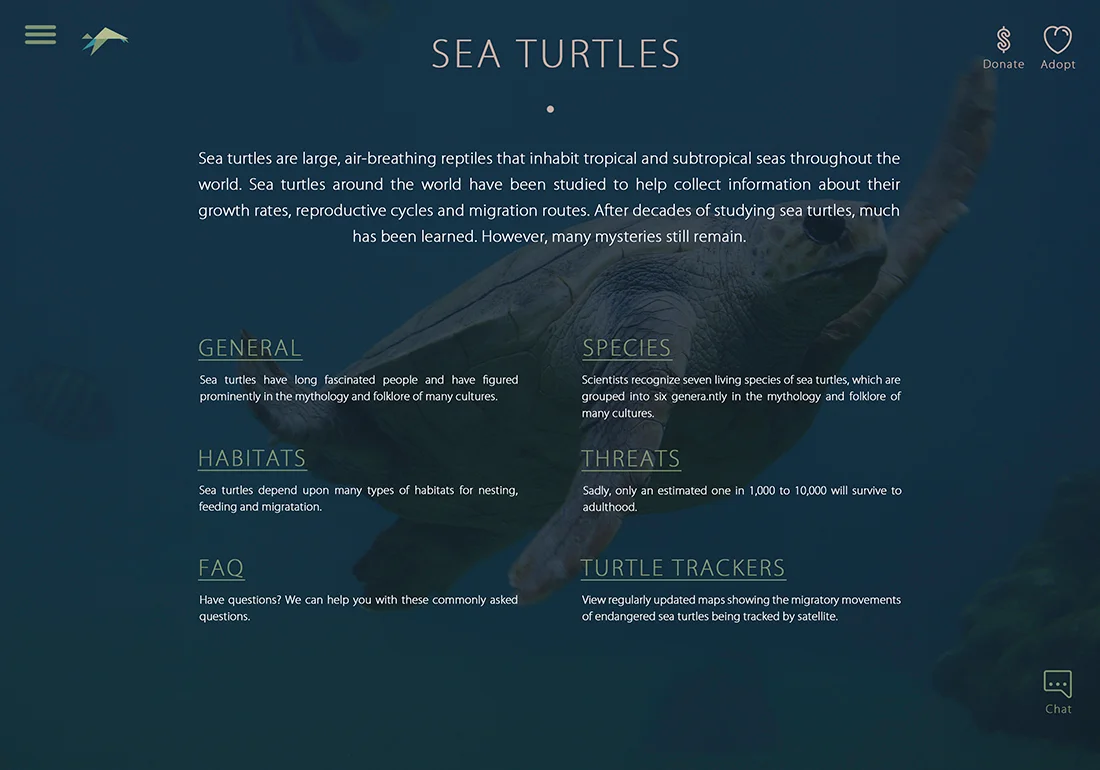 STC-04-Sea-Turtles-NancyZhang.jpg