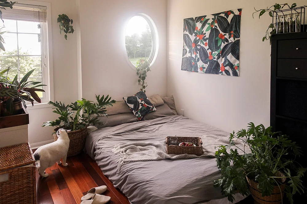 MYAP-Homesetup01-NancyZhang.jpg