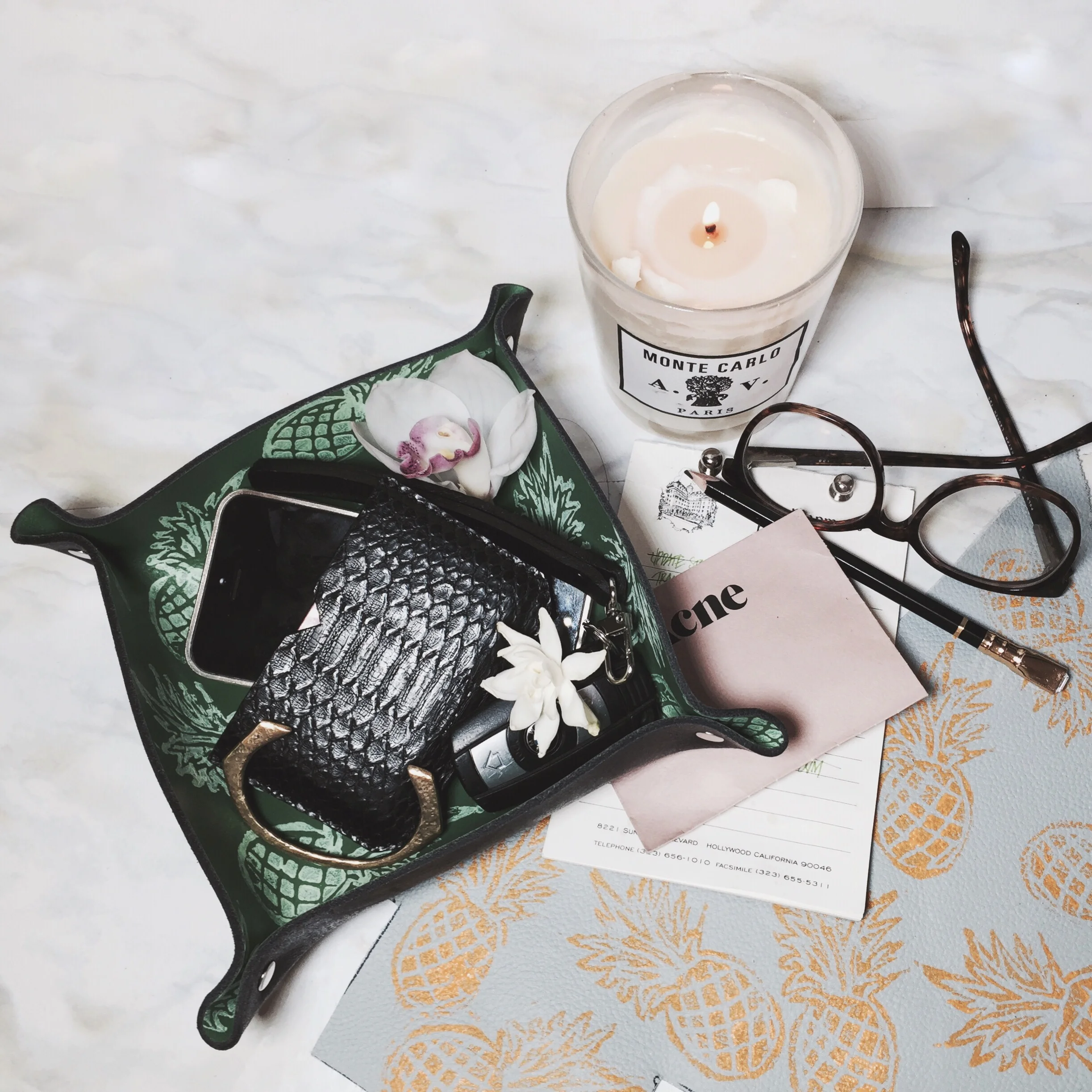 Photo Feb 08, 2 41 01 PM.jpg