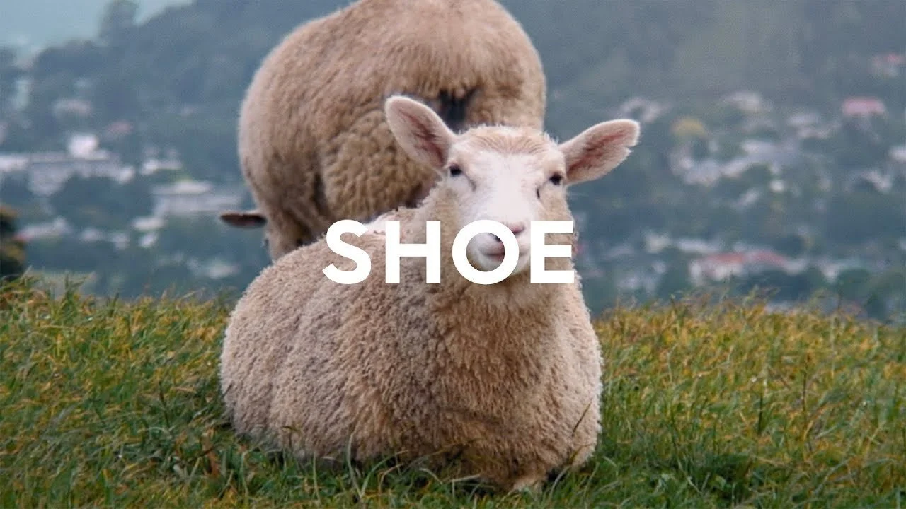 Allbirds - Comfy Shoes