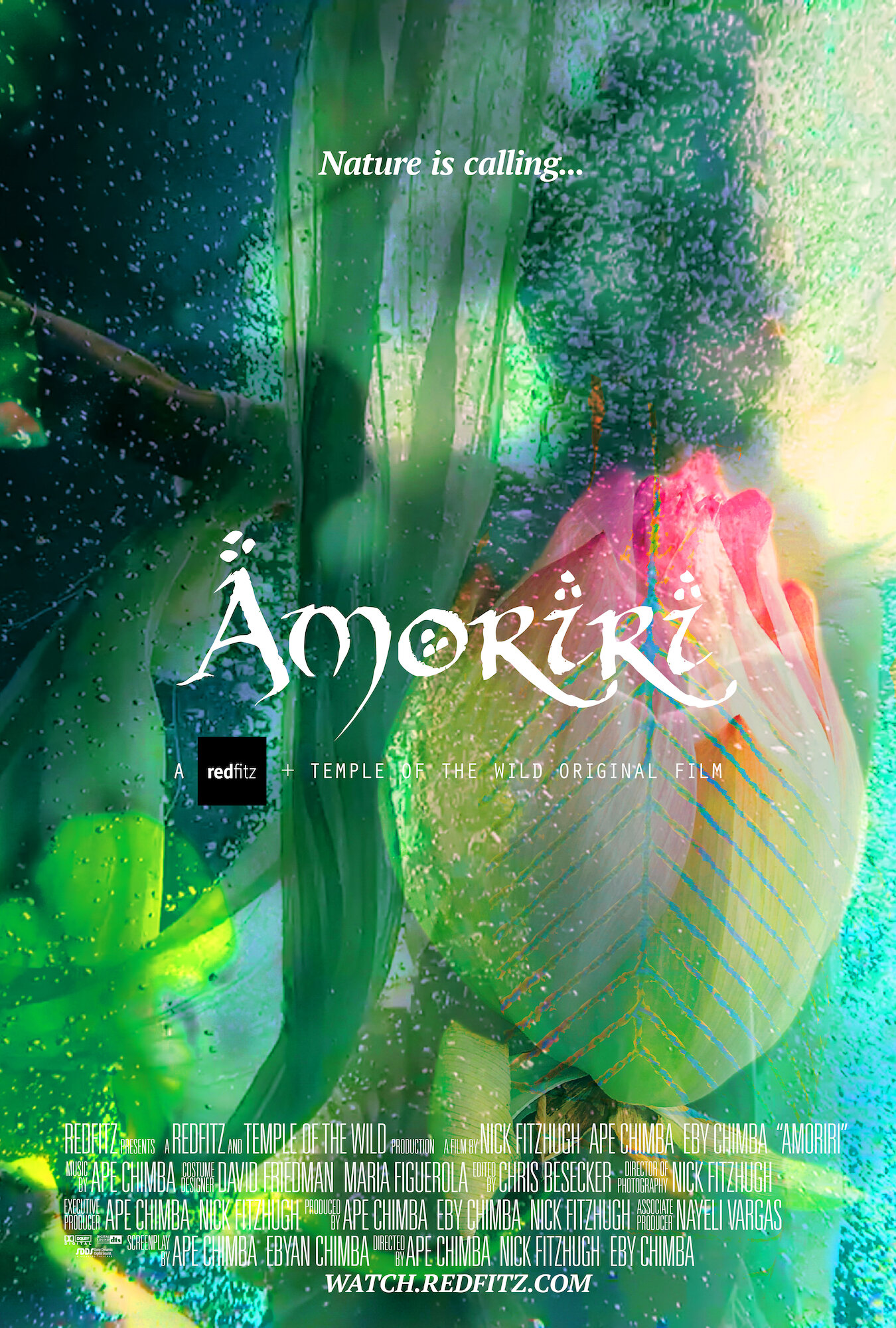 Amoriri Poster (web).jpg