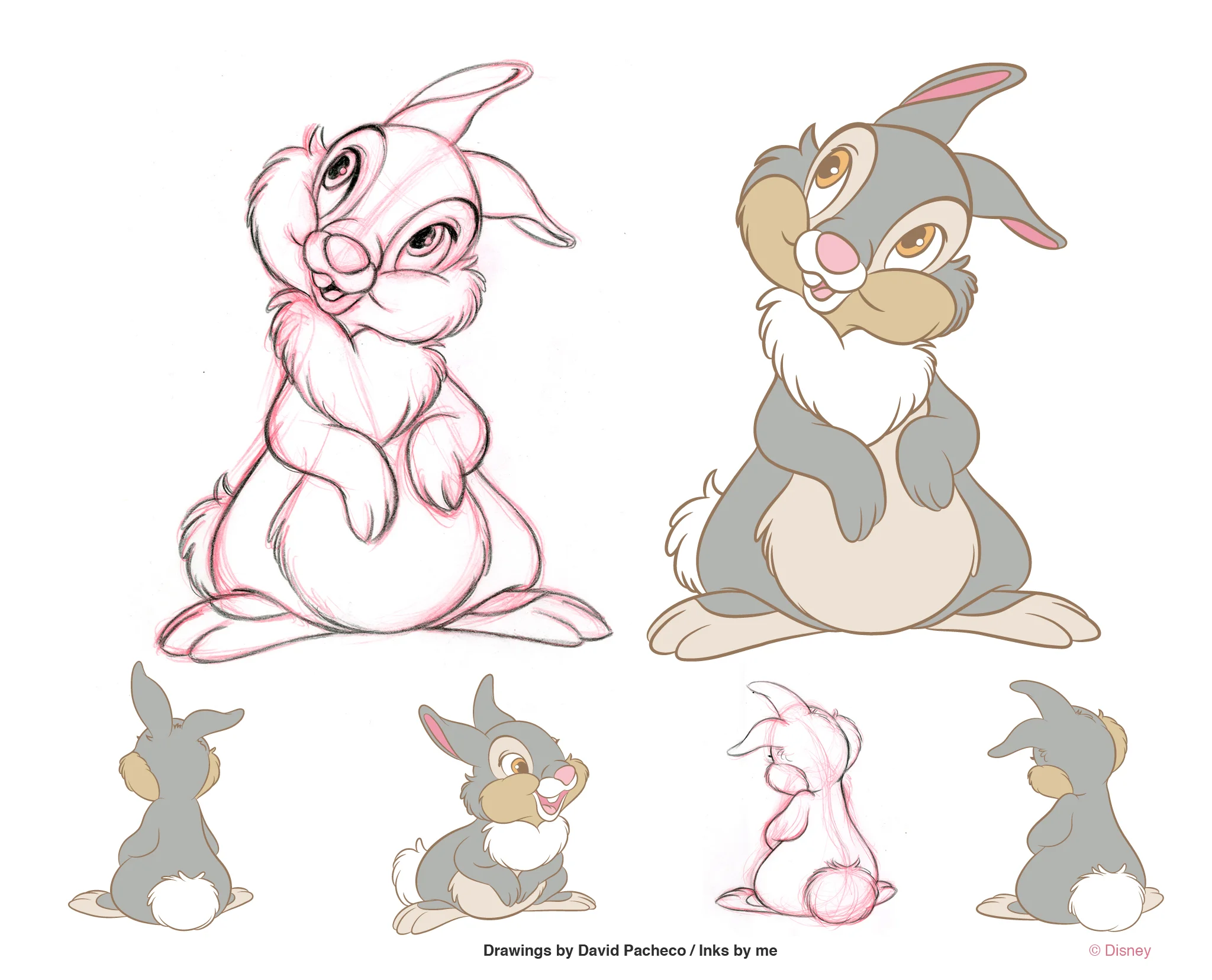 thumper.jpg