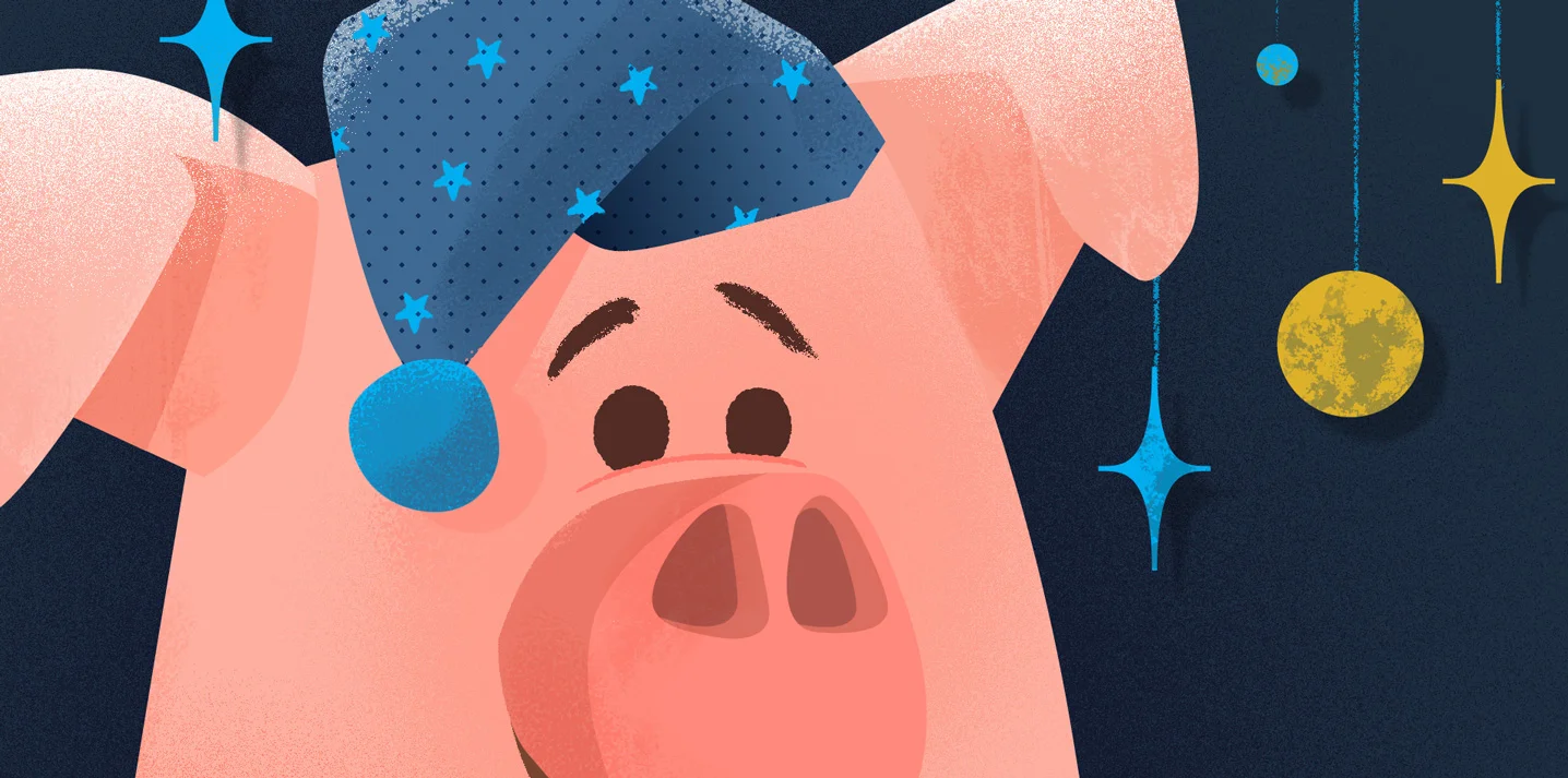 Pig_Book_Detail2.jpg