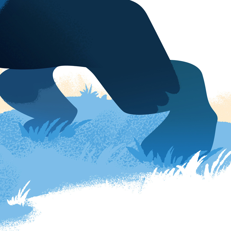 Gorilla-and-pigfaceclosup-feet.jpg