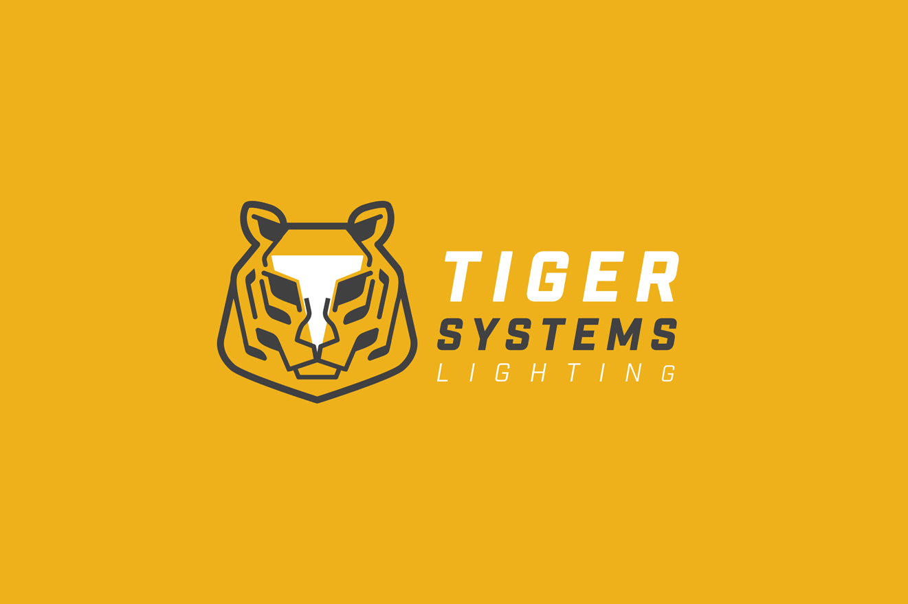 Tiger Systems-Final_Page_08.png