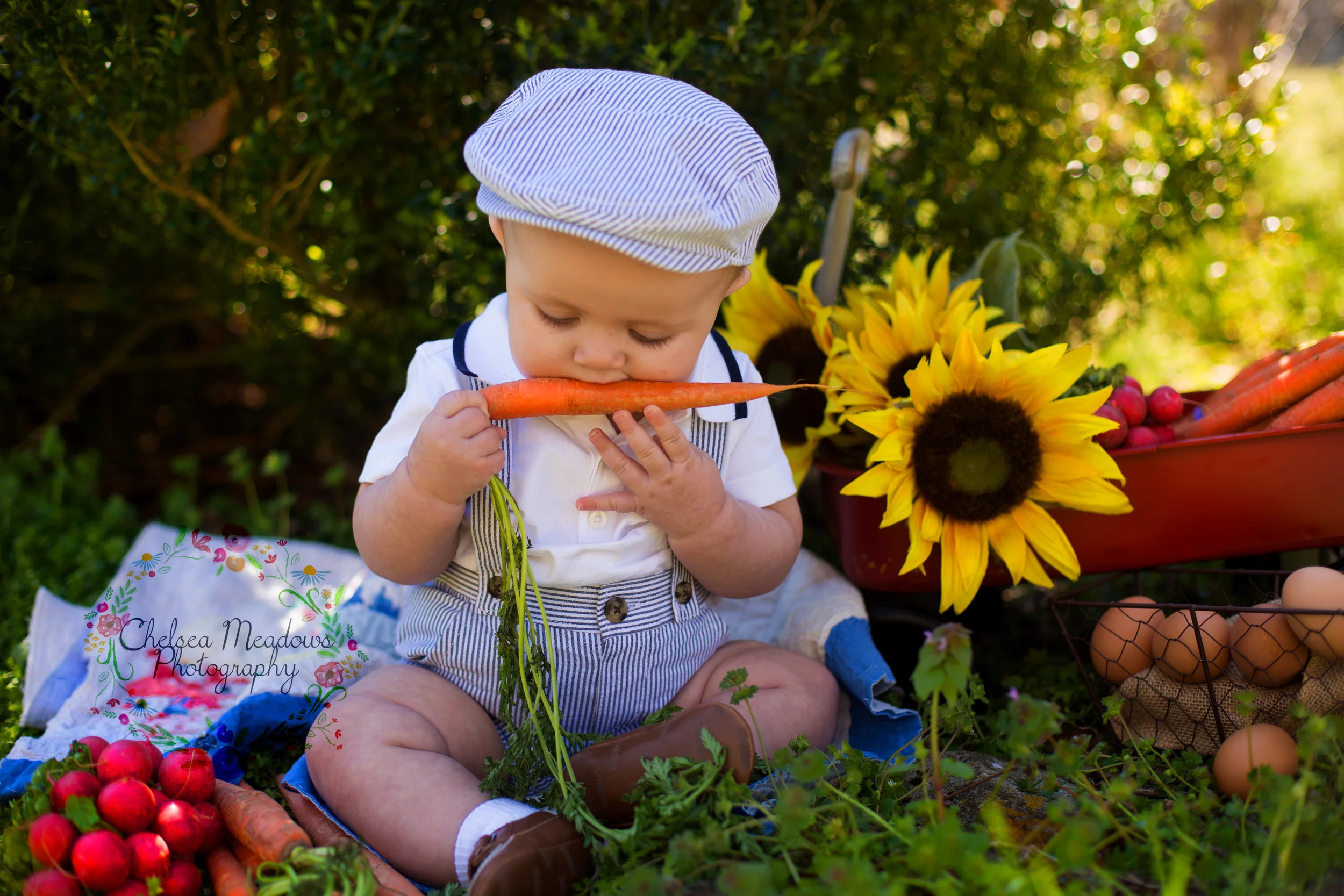 Baby R 6 month Session - Chelsea Meadows Photography 2.jpg