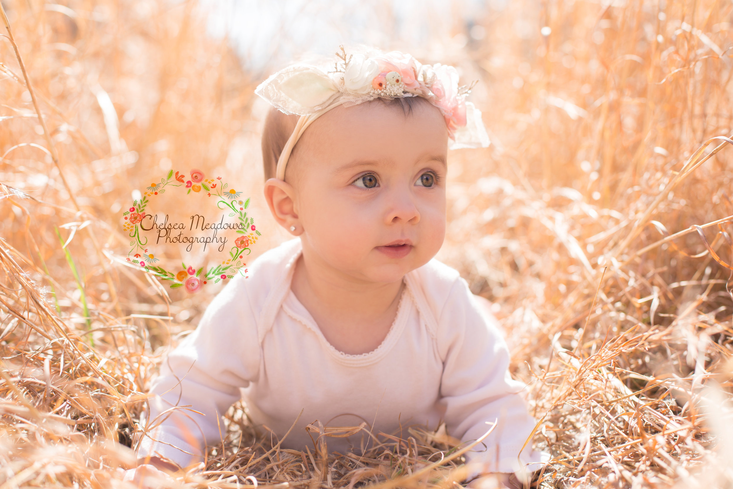 Ava's Sitting-Up-Session | A Girly Six-Month Photo Shoot | Baby photoshoot  girl, Baby boy photos, Baby photoshoot