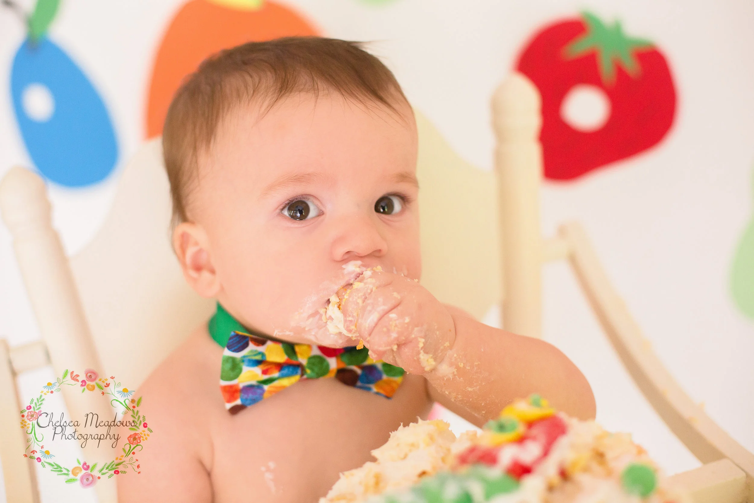 Vayden First Birthday - Nashville Family Photographer - Chelsea Meadows Photography (59).jpg