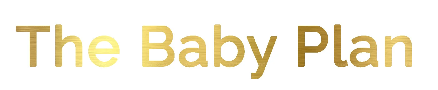 THeBAbyPlan.jpg
