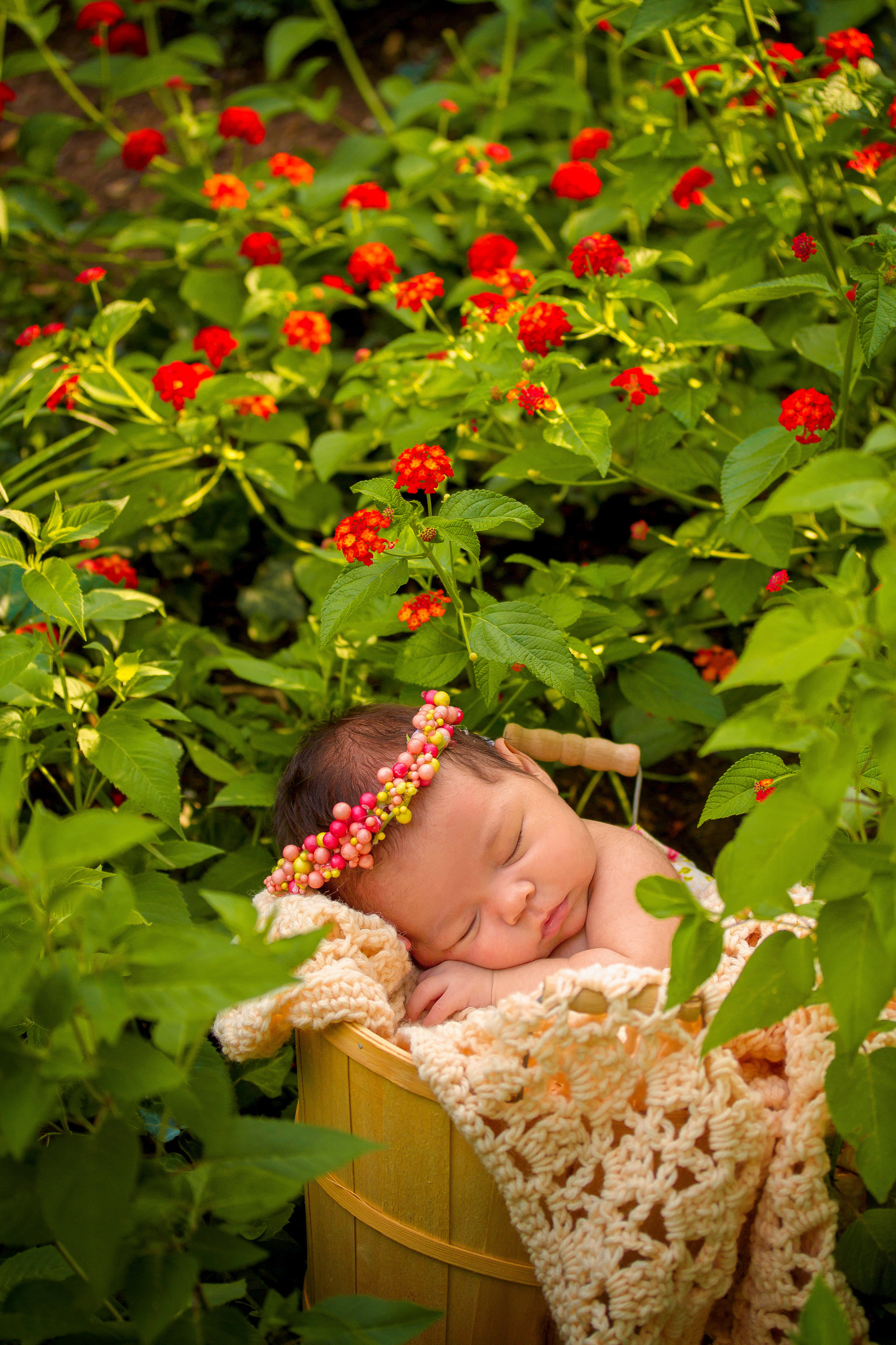 Camila's Newborn Session - Chelsea Meadows Photography (14).jpg
