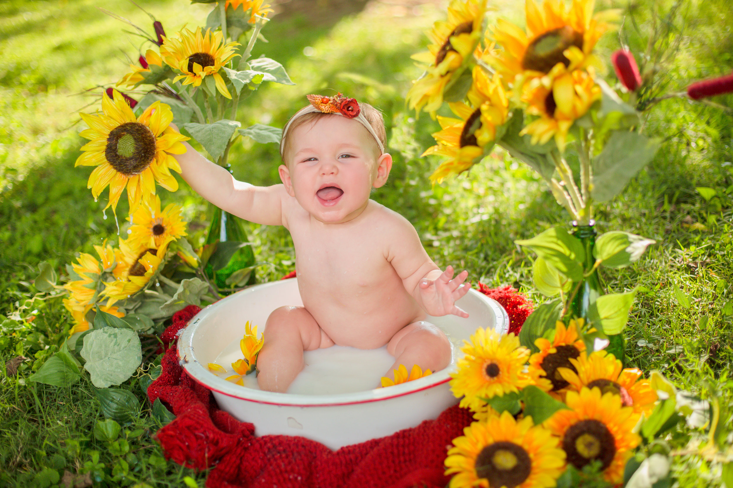 Baby S Sunflower Milk Bath — Chelsea Meadows Photography Nashville