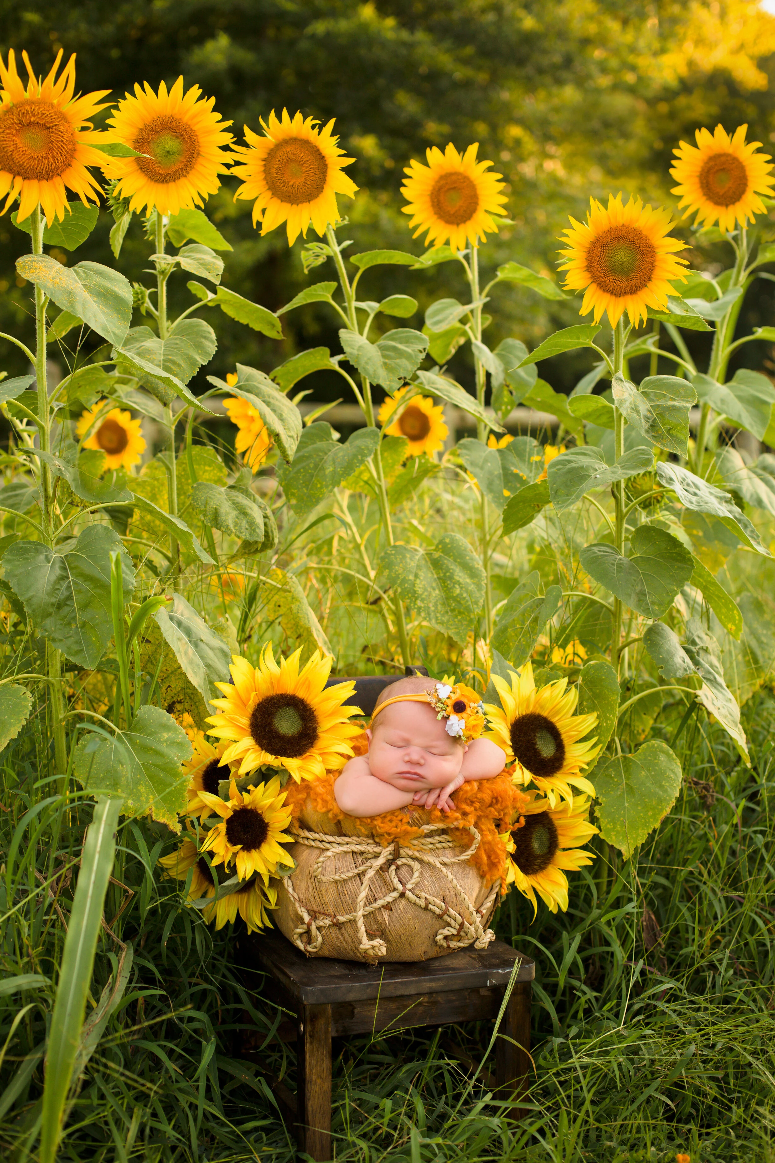 Miley-Newborn-Photoshoot-Nashville-Baby-Photographer-Chelsea-Meadows-Photography-(1).jpg