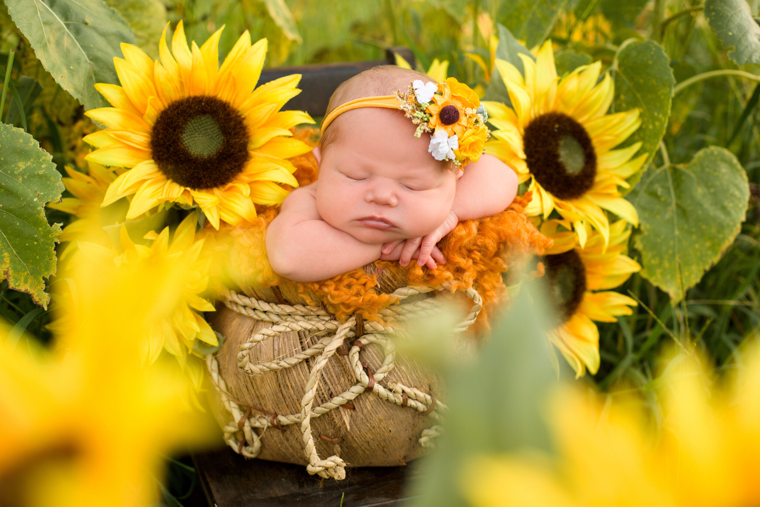 Newborns — Chelsea Meadows Photography Nashville Newborn, Birth, Family ...