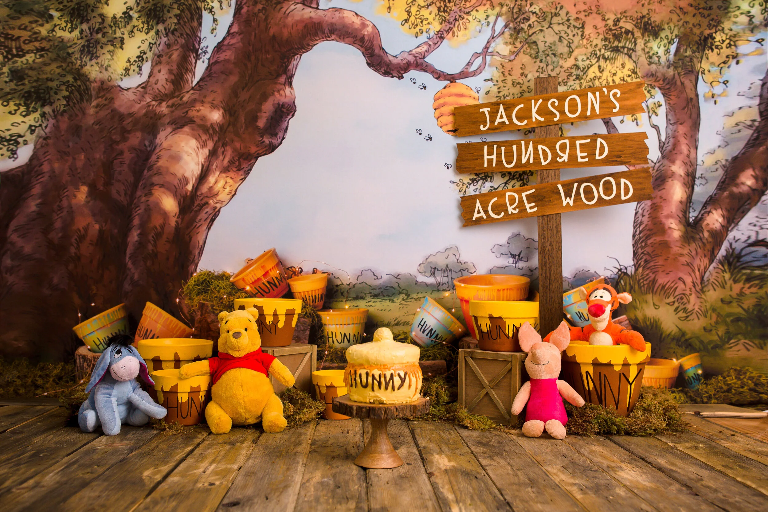 Jackson-First-Birthday-Nashville-Birthday-Photographer-Chelsea-Meadows-Photography-(20).jpg