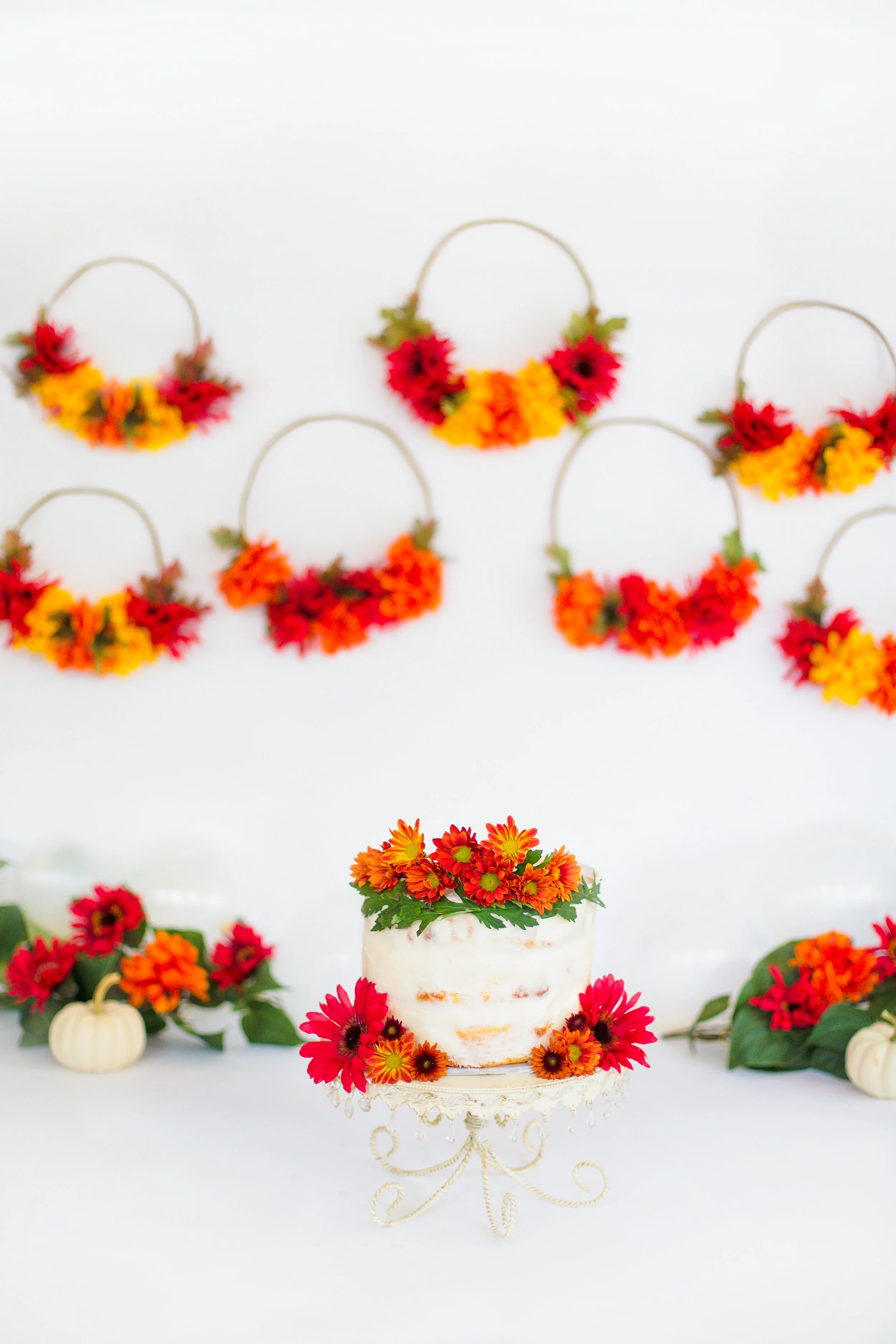 Josie-Fall-Cakesmash-Nashville-Family-Photographer-Chelsea-Meadows-Photography-(1).jpg