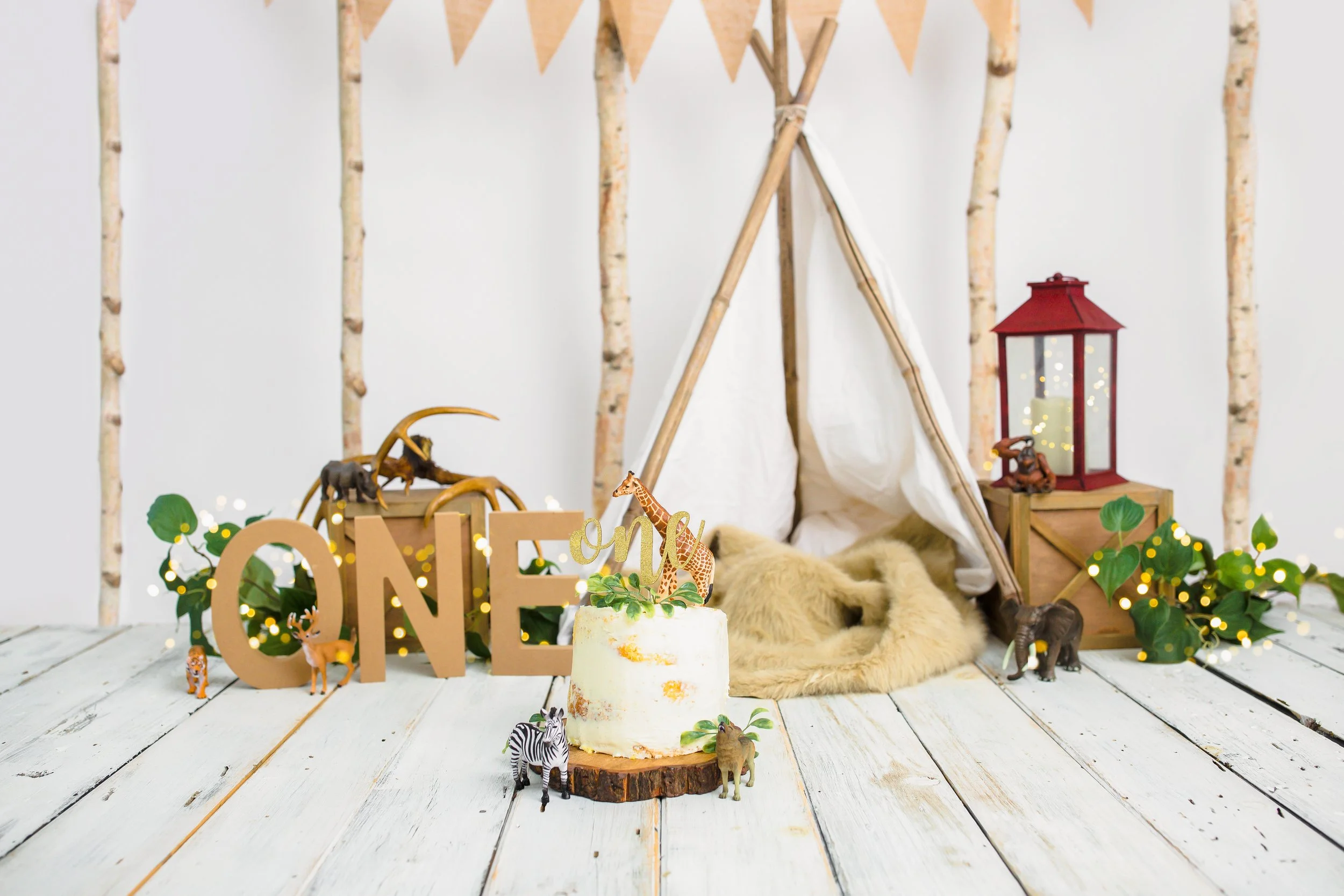 Rustic-Cakesmash-Baby-Boy-Nashville-Family-Photographer-Chelsea-Meadows-Photography-(7)-2.jpg