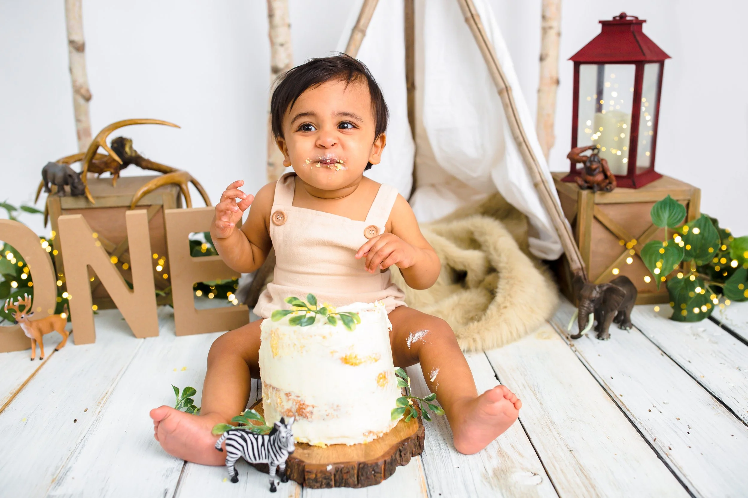 Rustic-Cakesmash-Baby-Boy-Nashville-Family-Photographer-Chelsea-Meadows-Photography-(26)-2.jpg