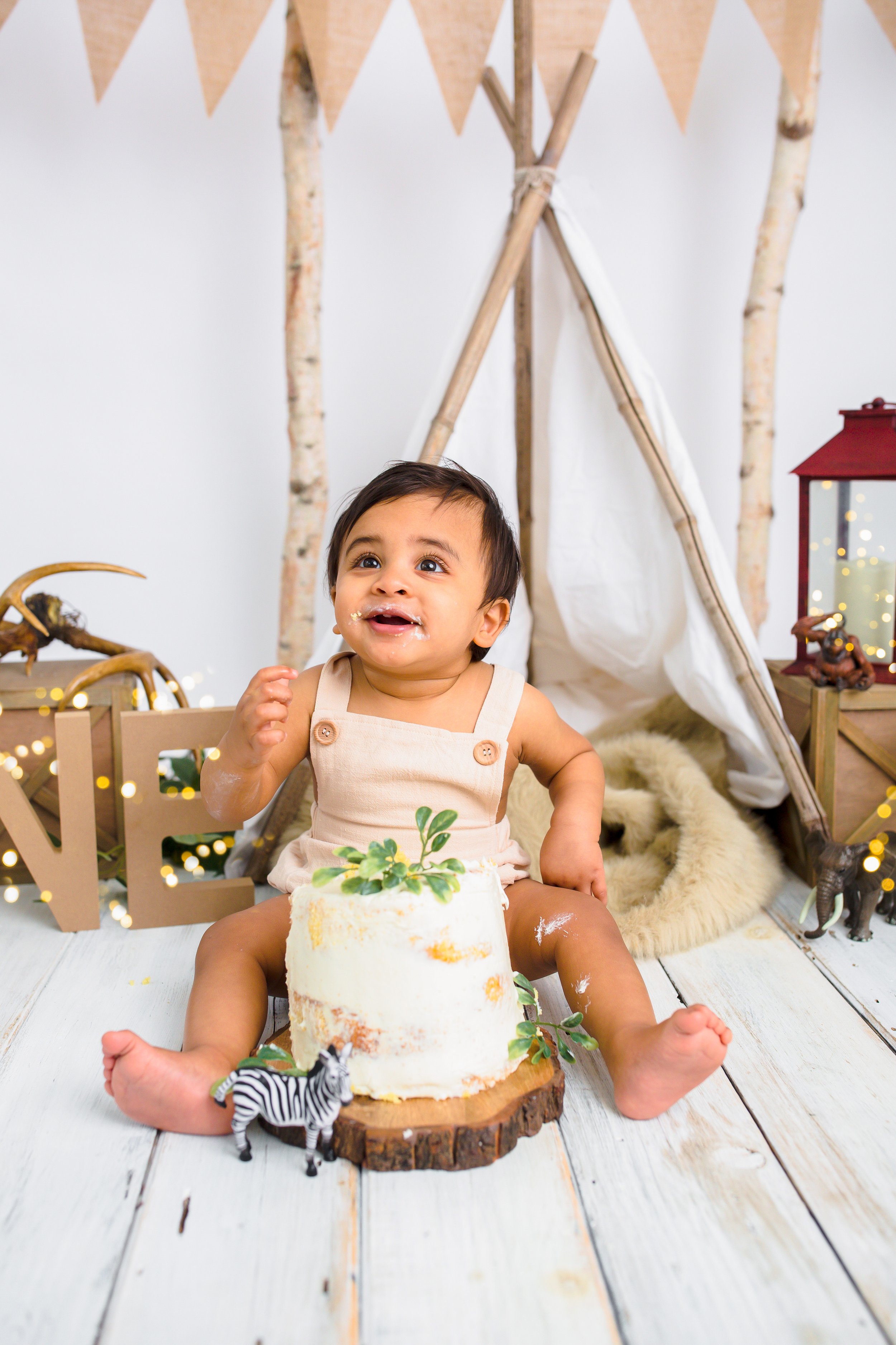 Rustic-Cakesmash-Baby-Boy-Nashville-Family-Photographer-Chelsea-Meadows-Photography-(56)-2.jpg