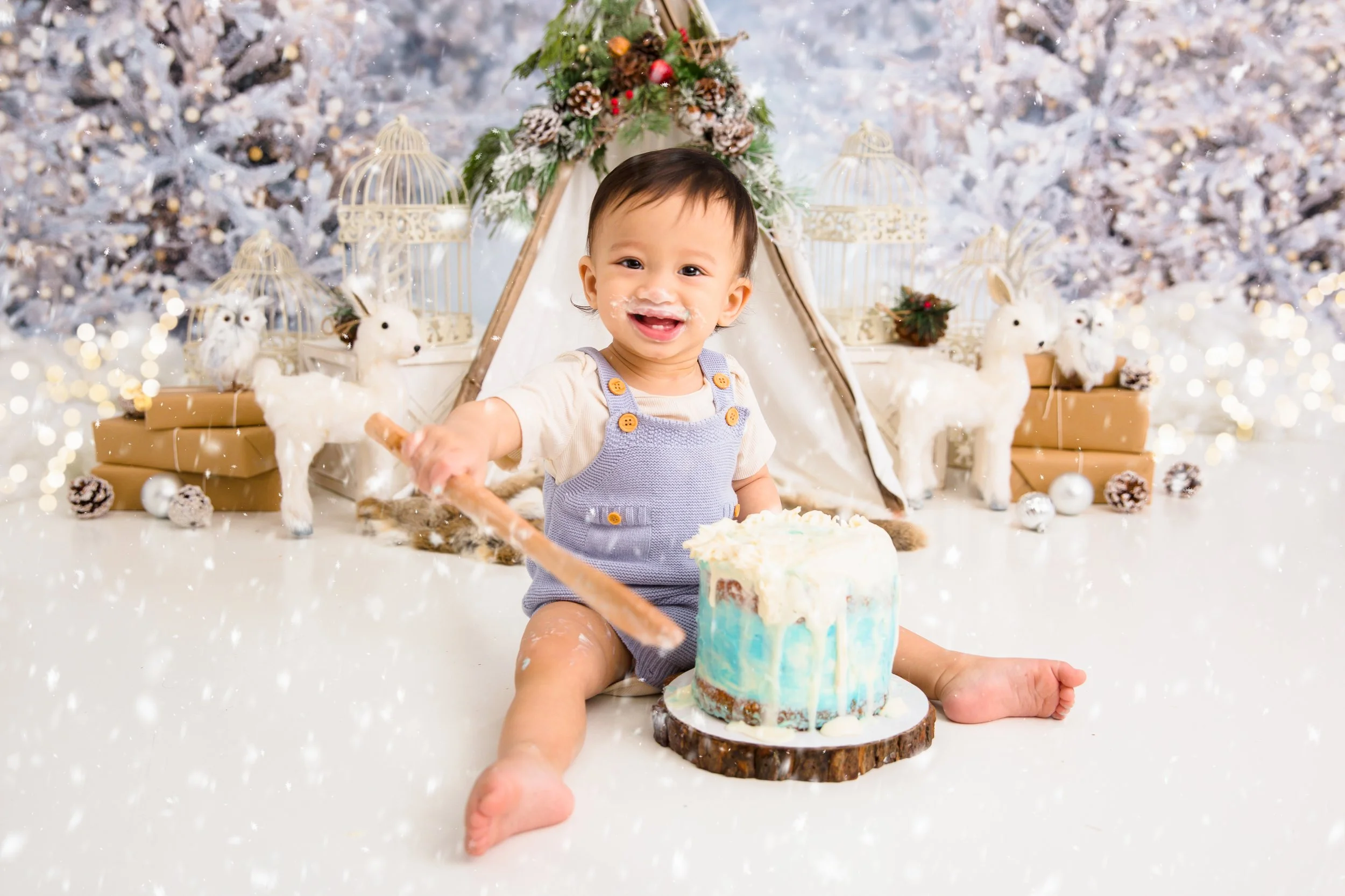 Winter-Onederland-Cakesmash-franklin-TN-Cake-Smash-Photogapher-Chelsea-Meadows-Photography-(7)-3.jpg