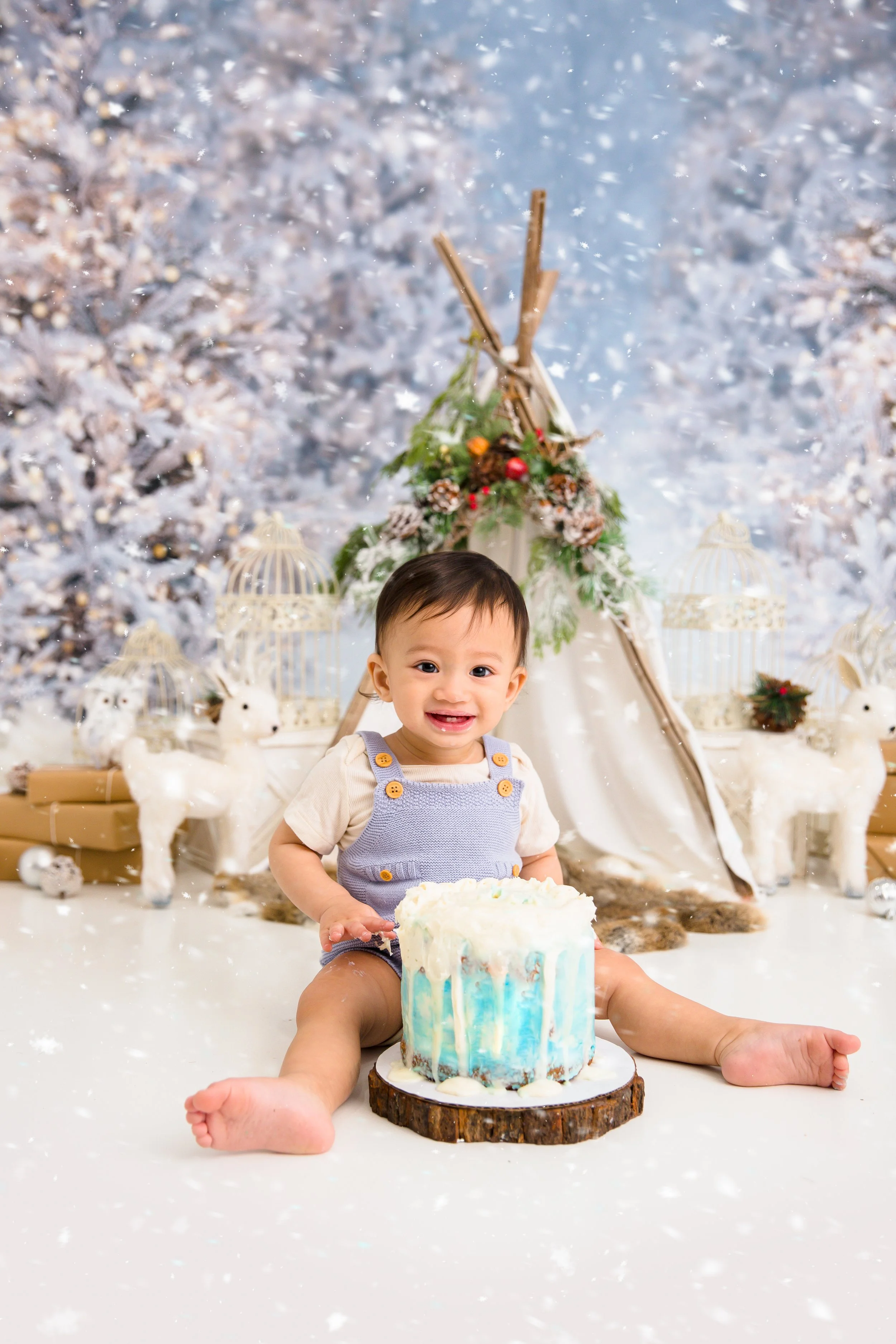 Winter-Onederland-Cakesmash-franklin-TN-Cake-Smash-Photogapher-Chelsea-Meadows-Photography-(1)-2.jpg