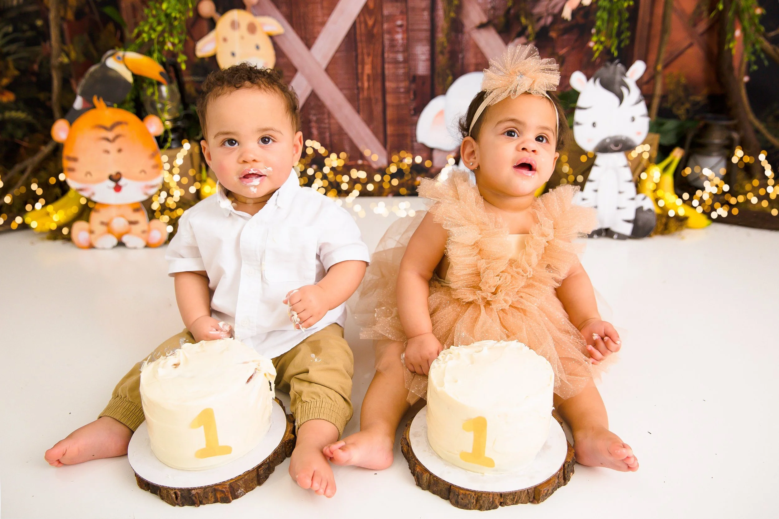 Twin-Baby-Cake-Smash-Nashville-Cakesmash-Photographer-Chelsea-Meadows-Photography-(5)-2.jpg