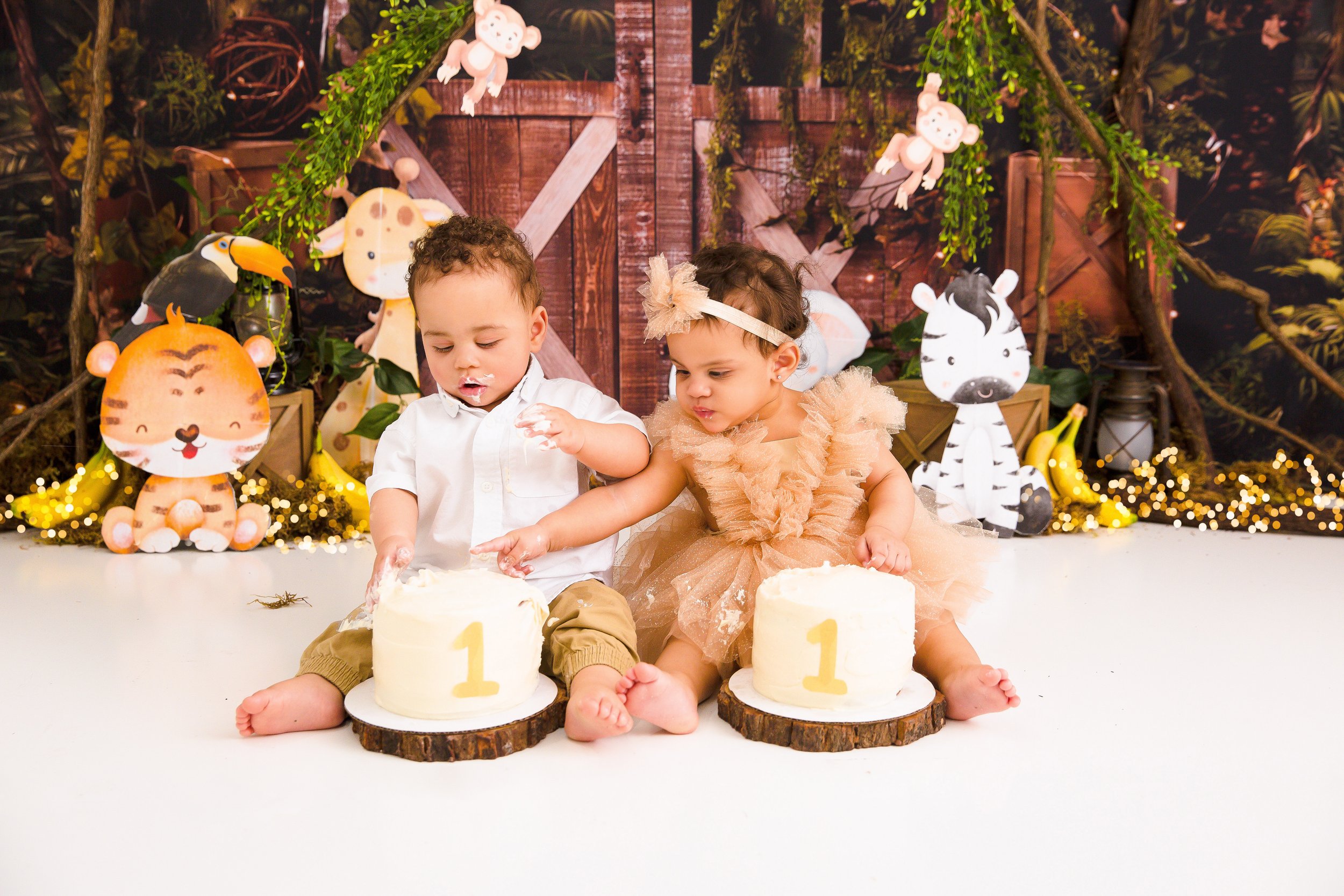 Twin-Baby-Cake-Smash-Nashville-Cakesmash-Photographer-Chelsea-Meadows-Photography-(6)-2.jpg