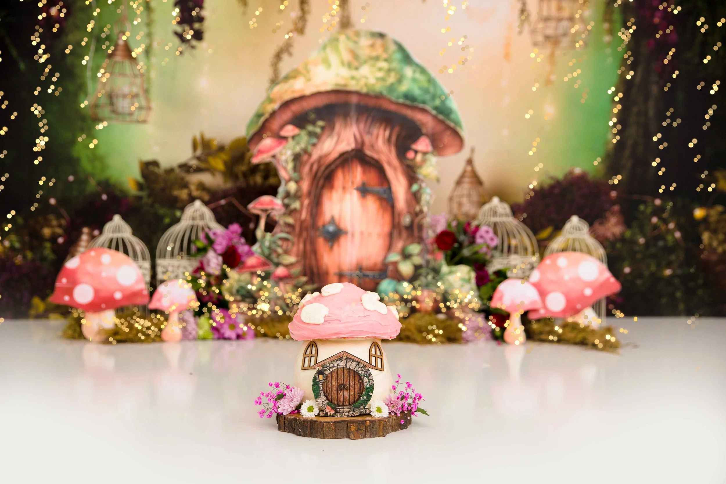Fairy-Cake-smash-photos-nashville-cakesmash-photographer-chelsea-meadows-photography-(6)-2.jpg