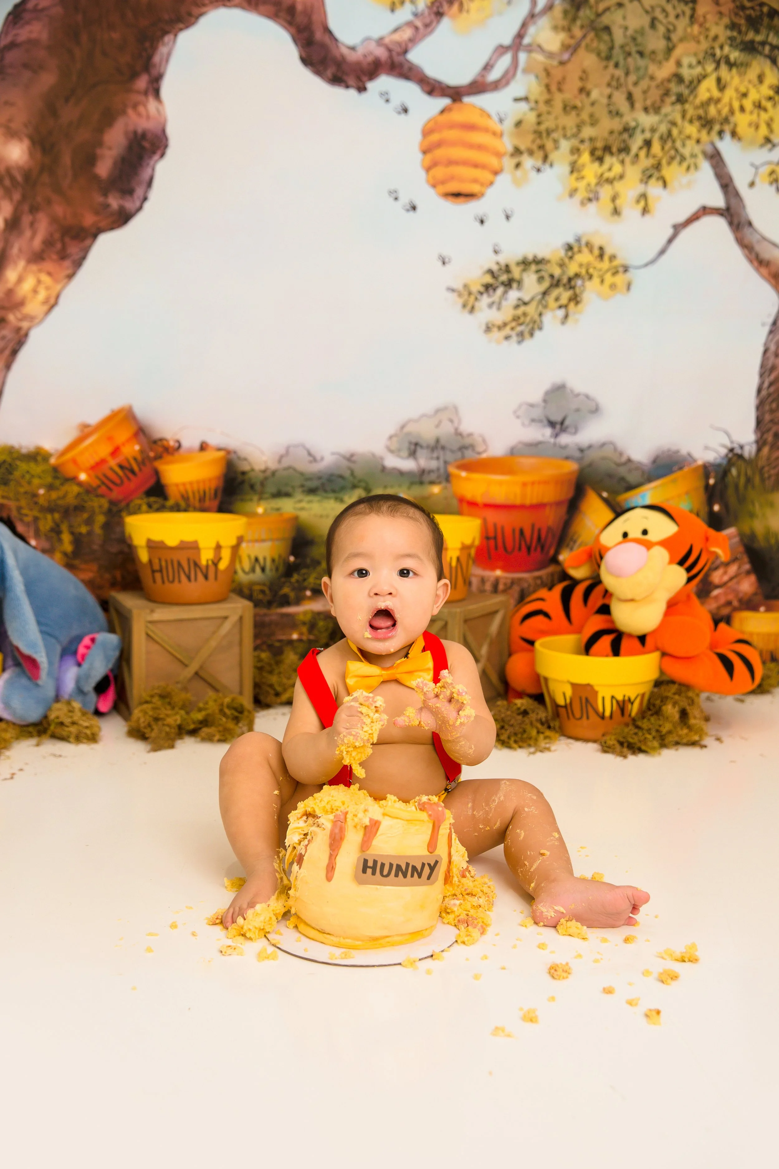 Winston-Winnie-The-Pooh-First-Birthday-cake-Smash-Chelsea-Meadows-Photography-(13).jpg