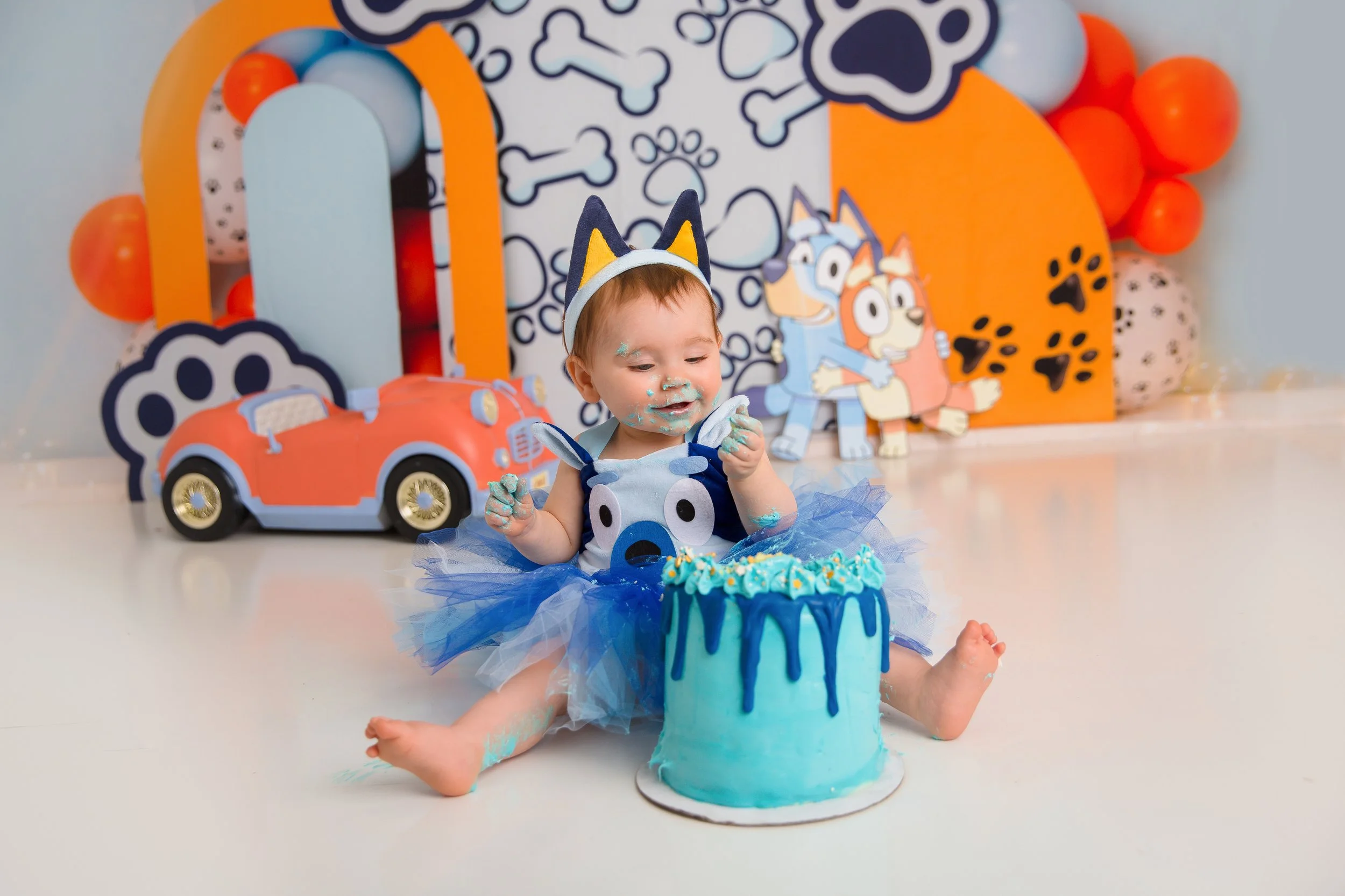 Bluey First Birthday Cake Smash