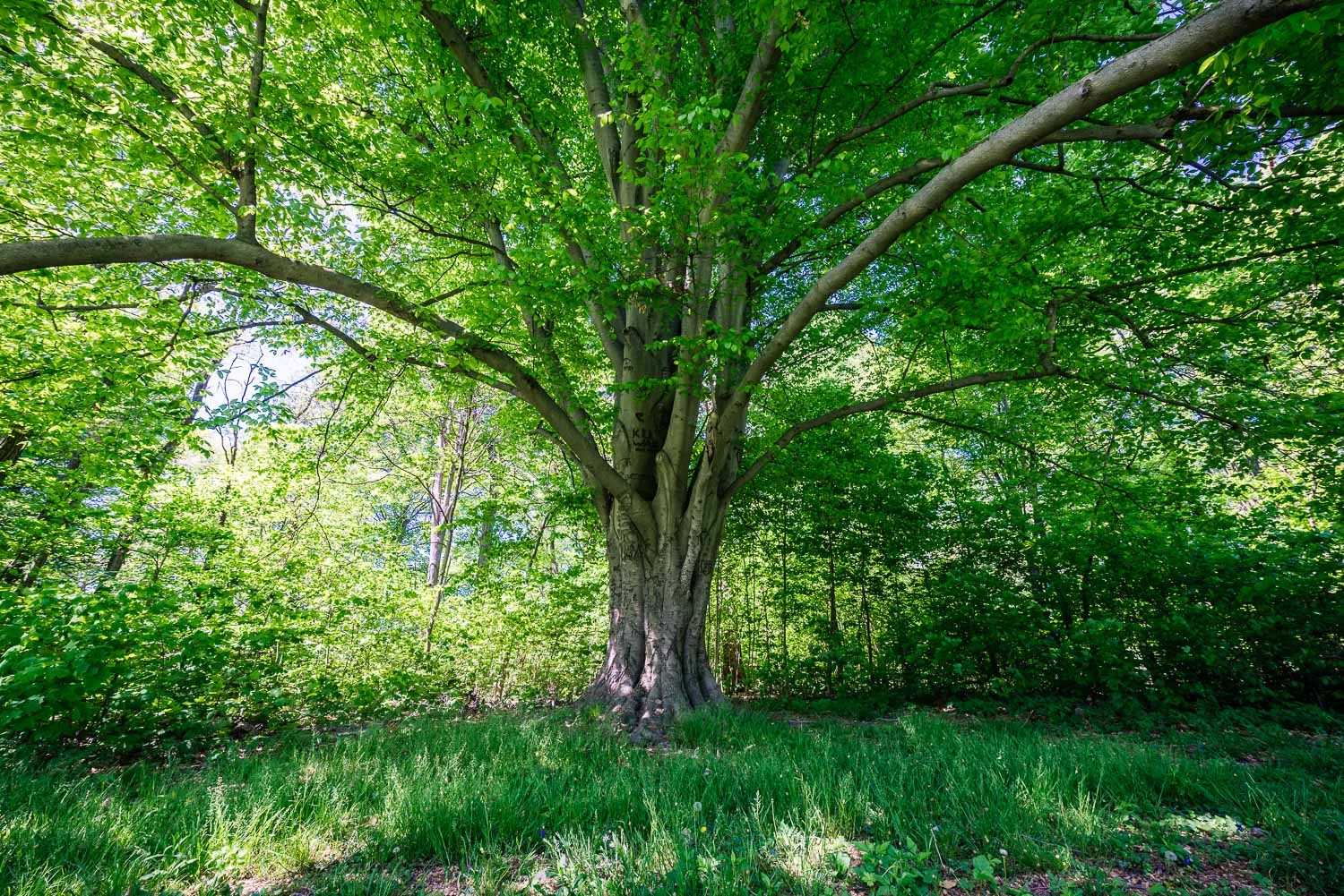 DSC_9436-HDR.jpg