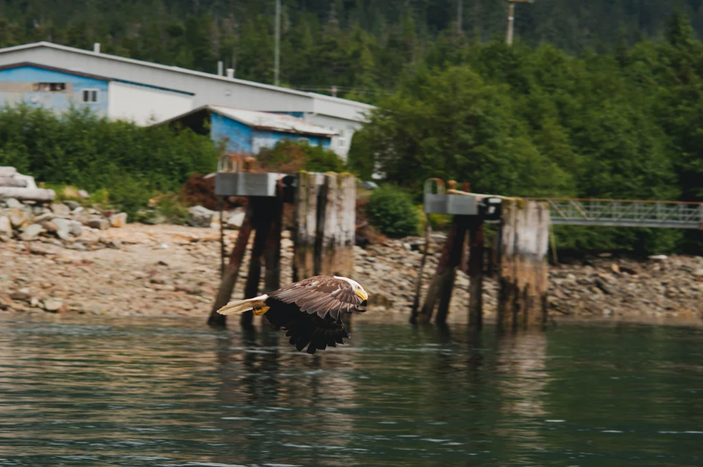 DSC_6566.jpg