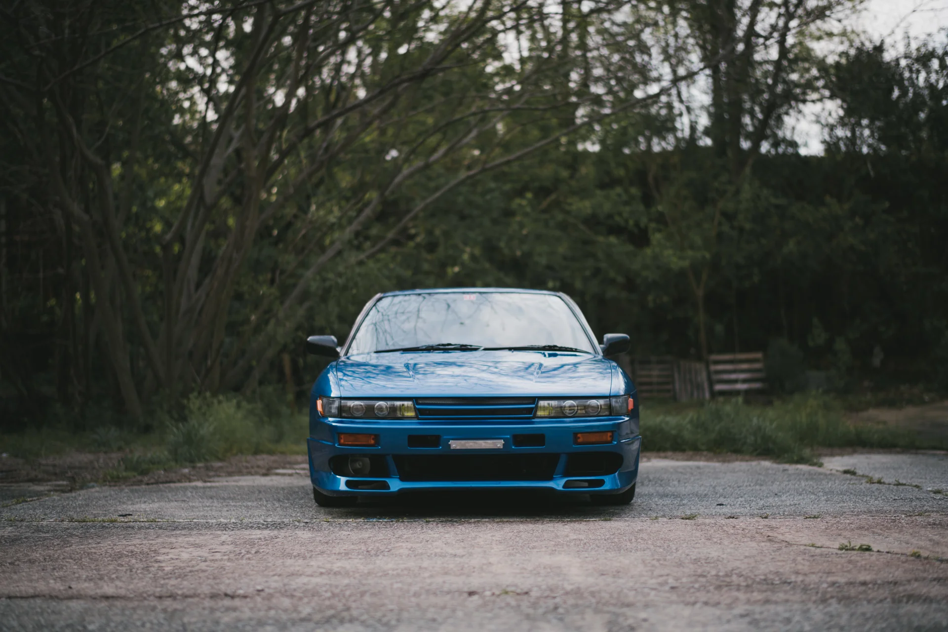 DSC_2882.jpg