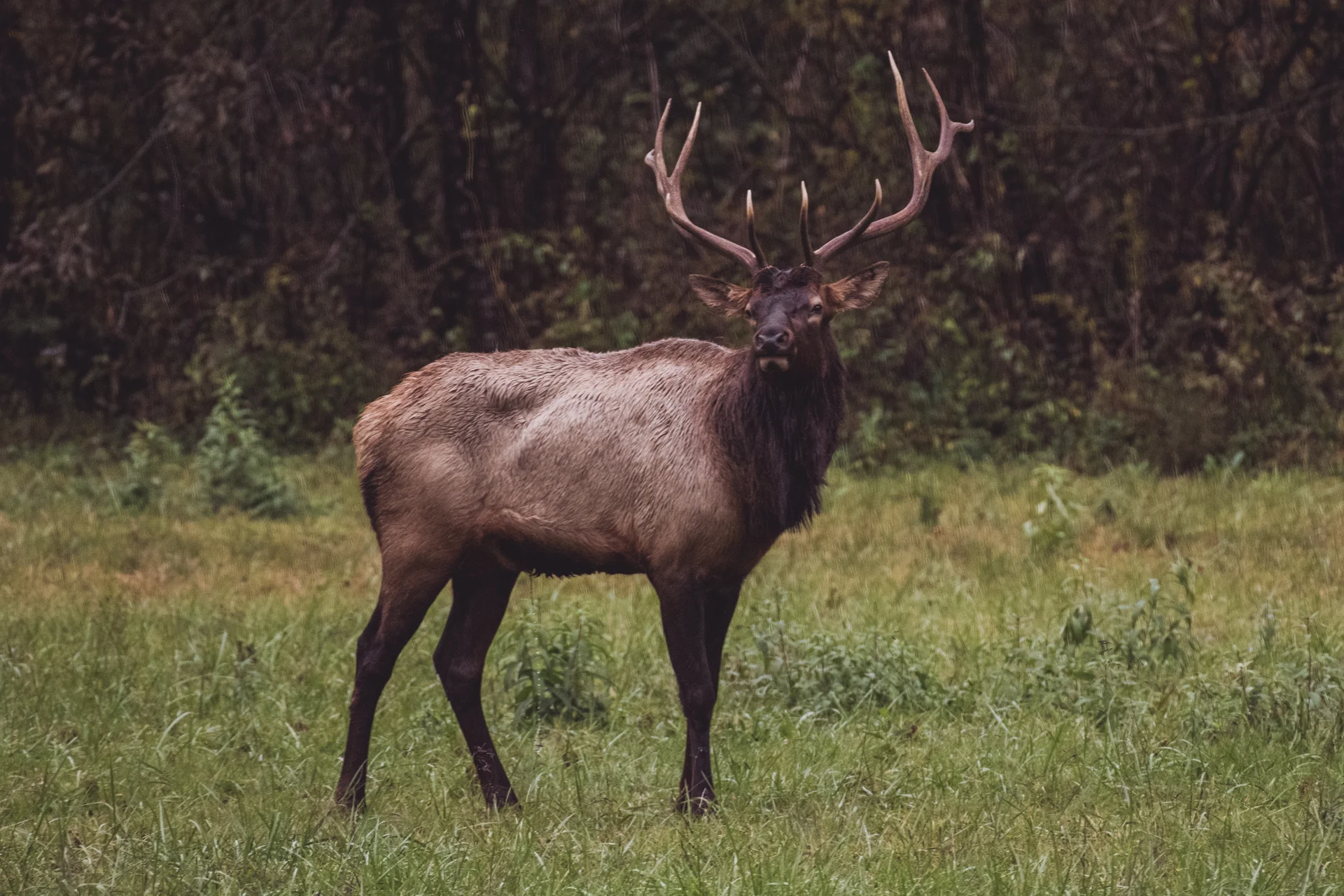 DSC_8885.jpg