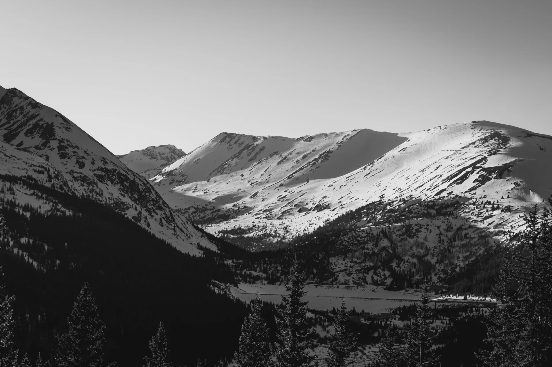DSC_0884.jpg