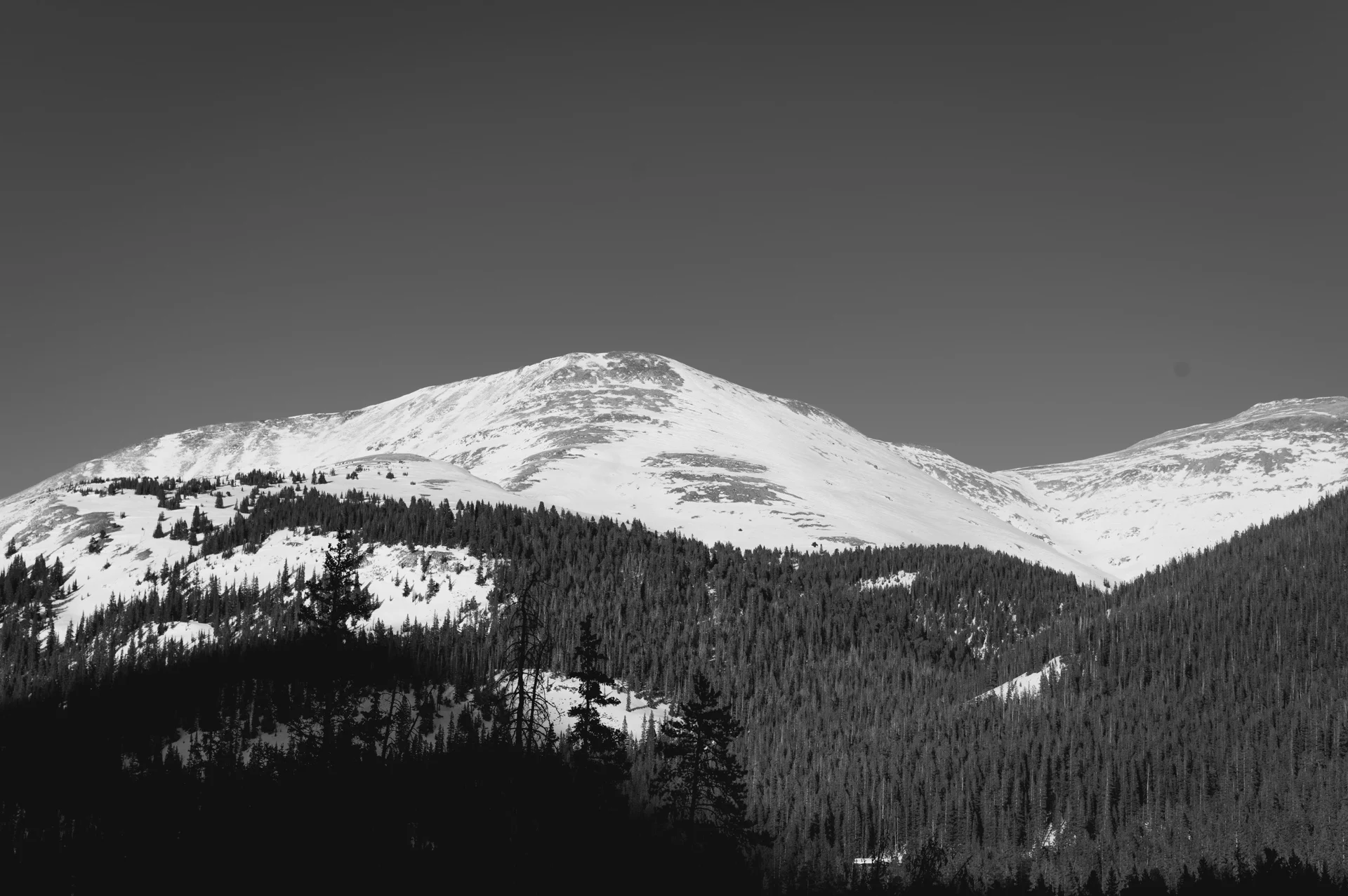 DSC_0887.jpg