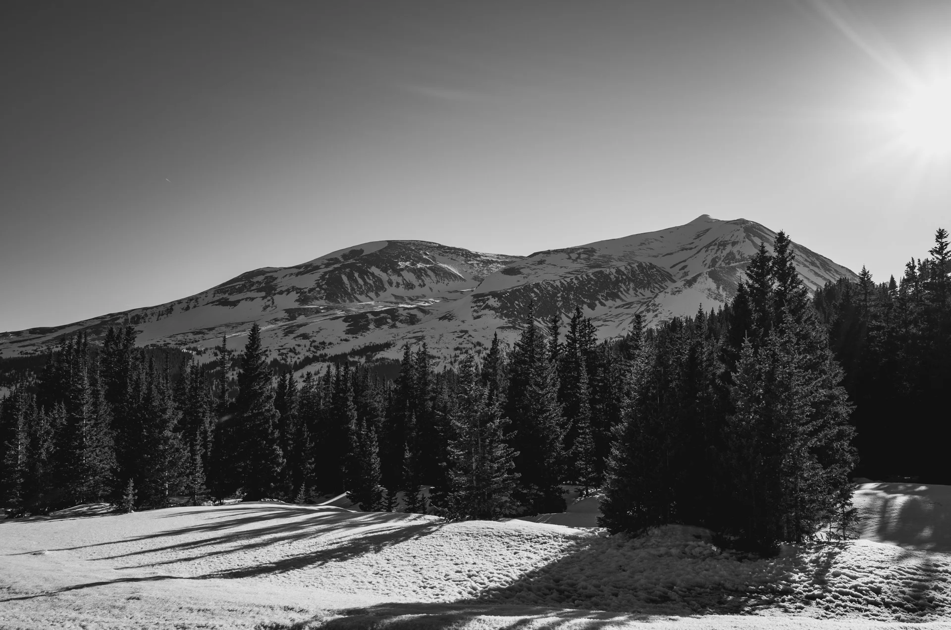 R0000245.jpg