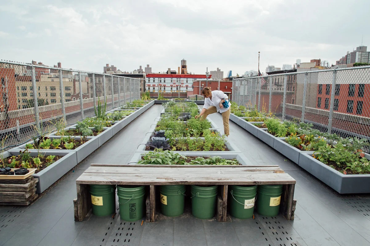 04.Fifth-Street-Farm-Naima-Green-Rooftop-Growing-Guide-4-2.jpg