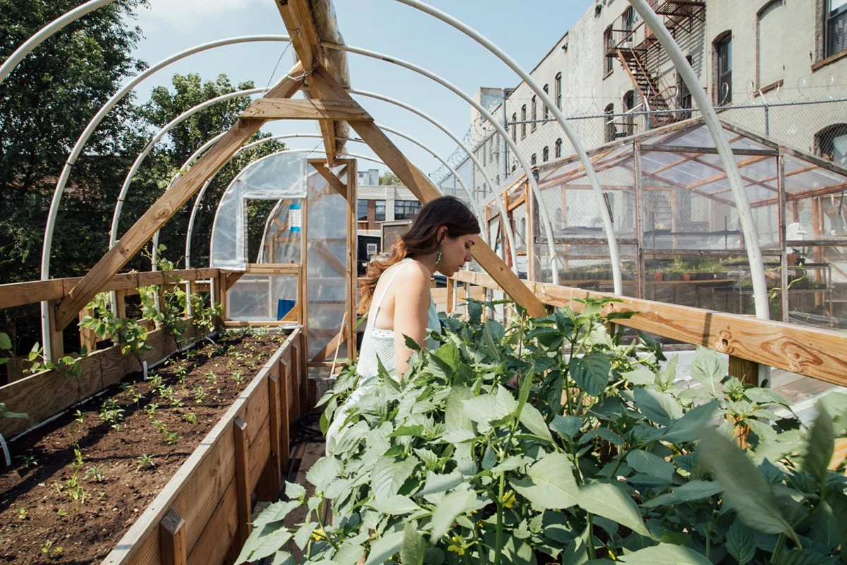 18.Robertas-Rooftop-Garden-Naima-Green-Rooftop-Growing-Guide-3-2.jpg