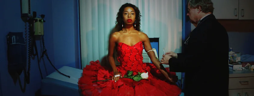 A Sense of Pride: Visual Activists and New Identities