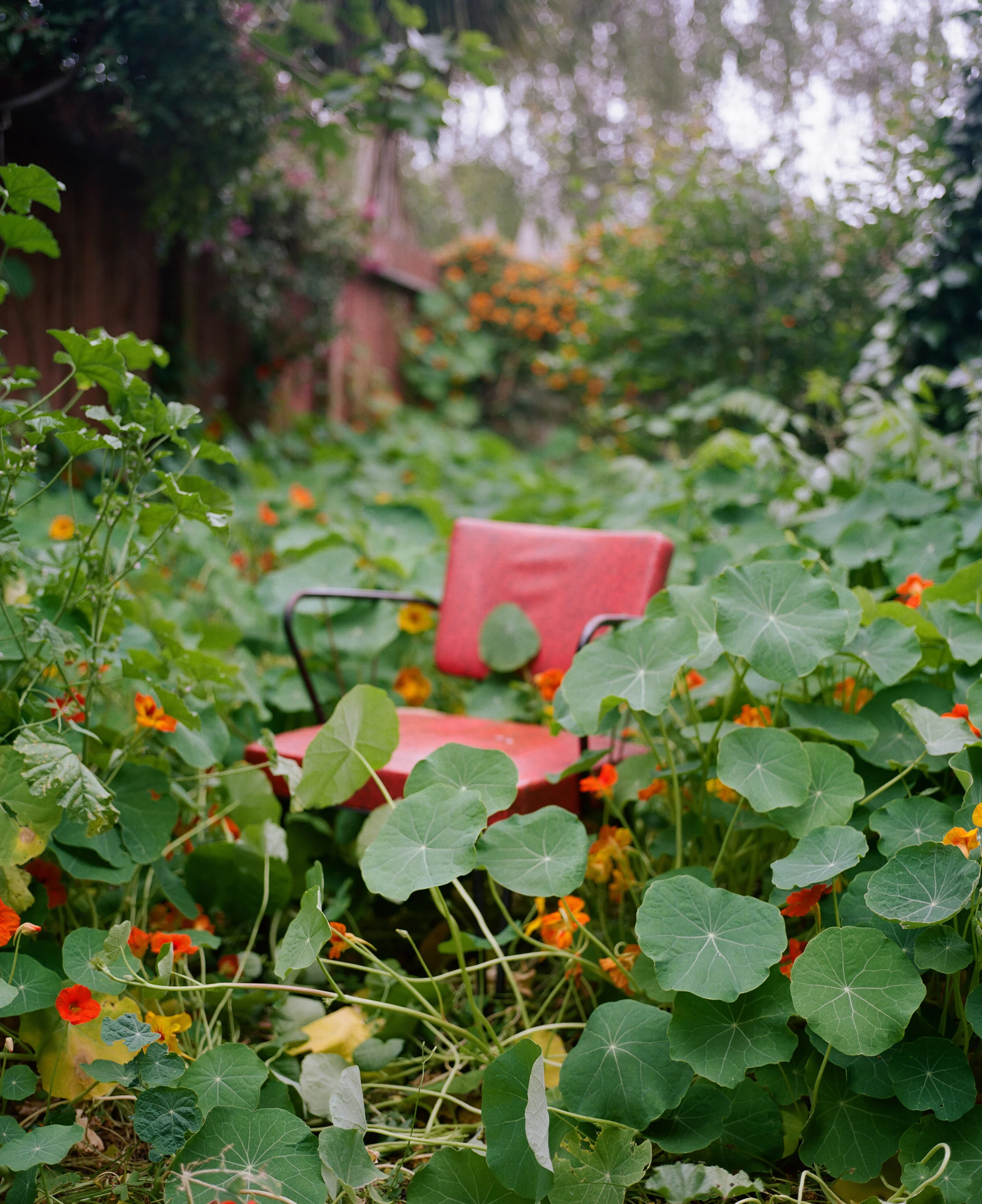 Oakland, 2018