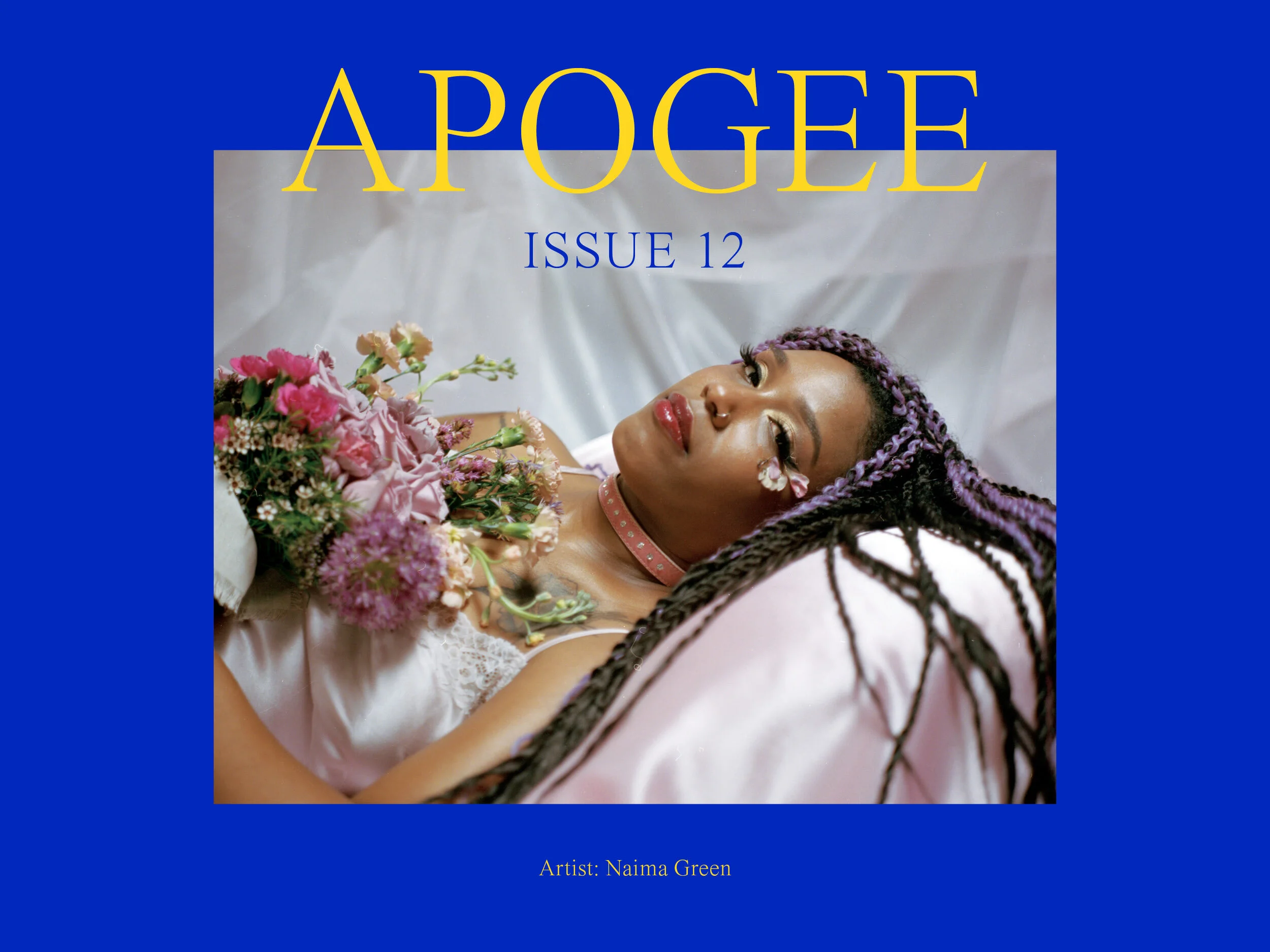 Apogee Issue 12 Cover