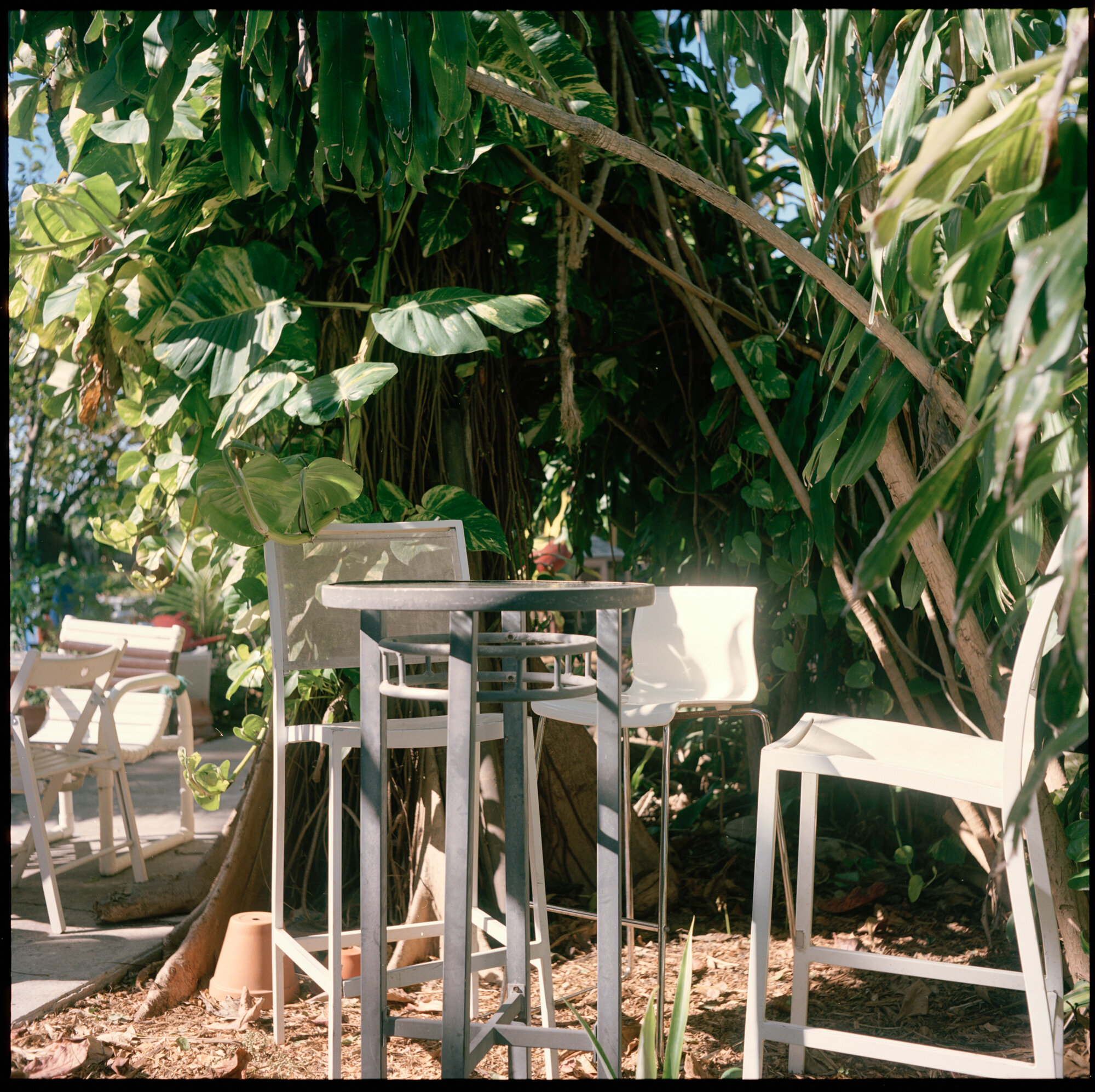 03. Green_EarthNUs Chairs.jpg