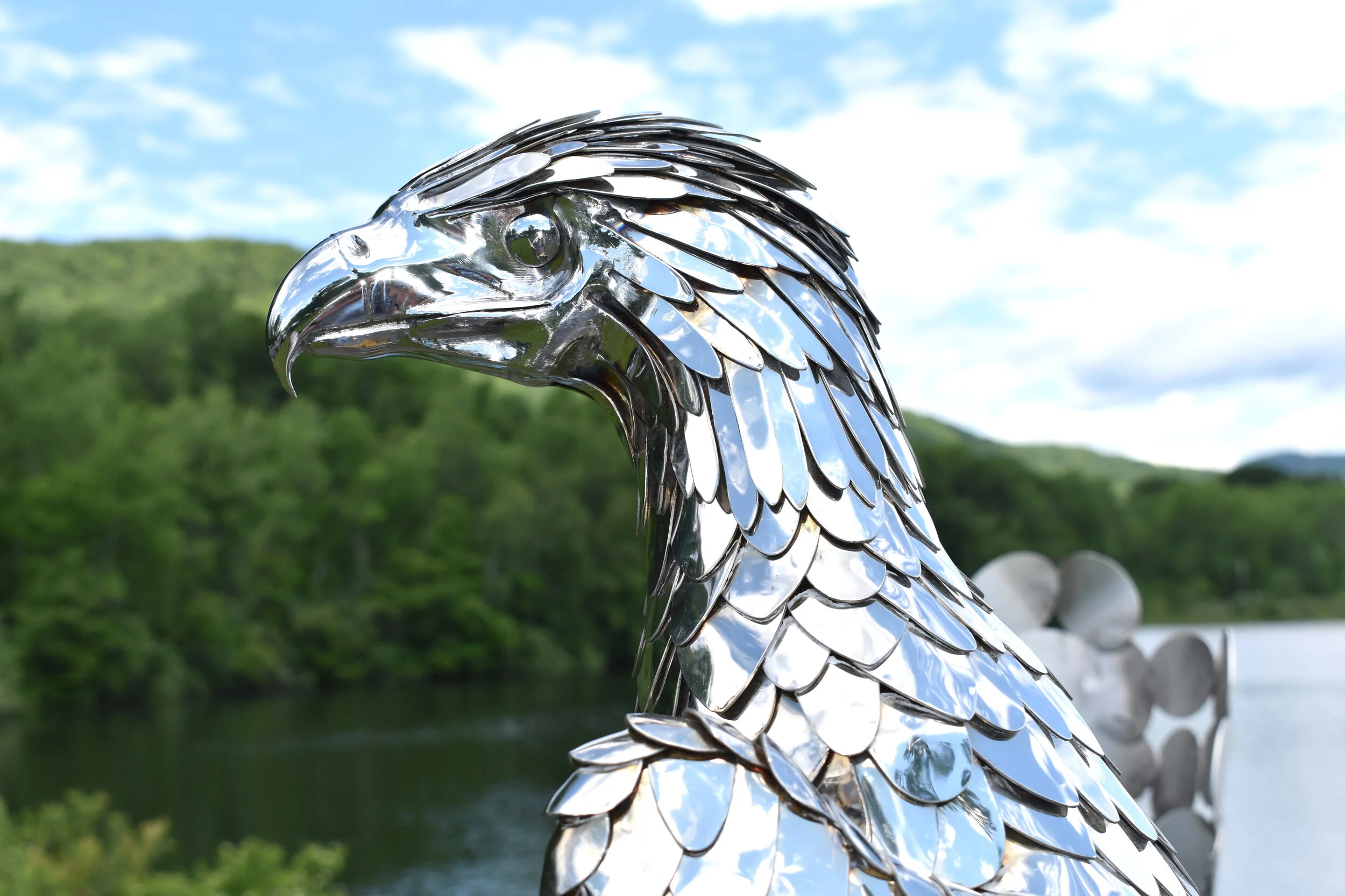 RECON American Bald Eagle.JPG