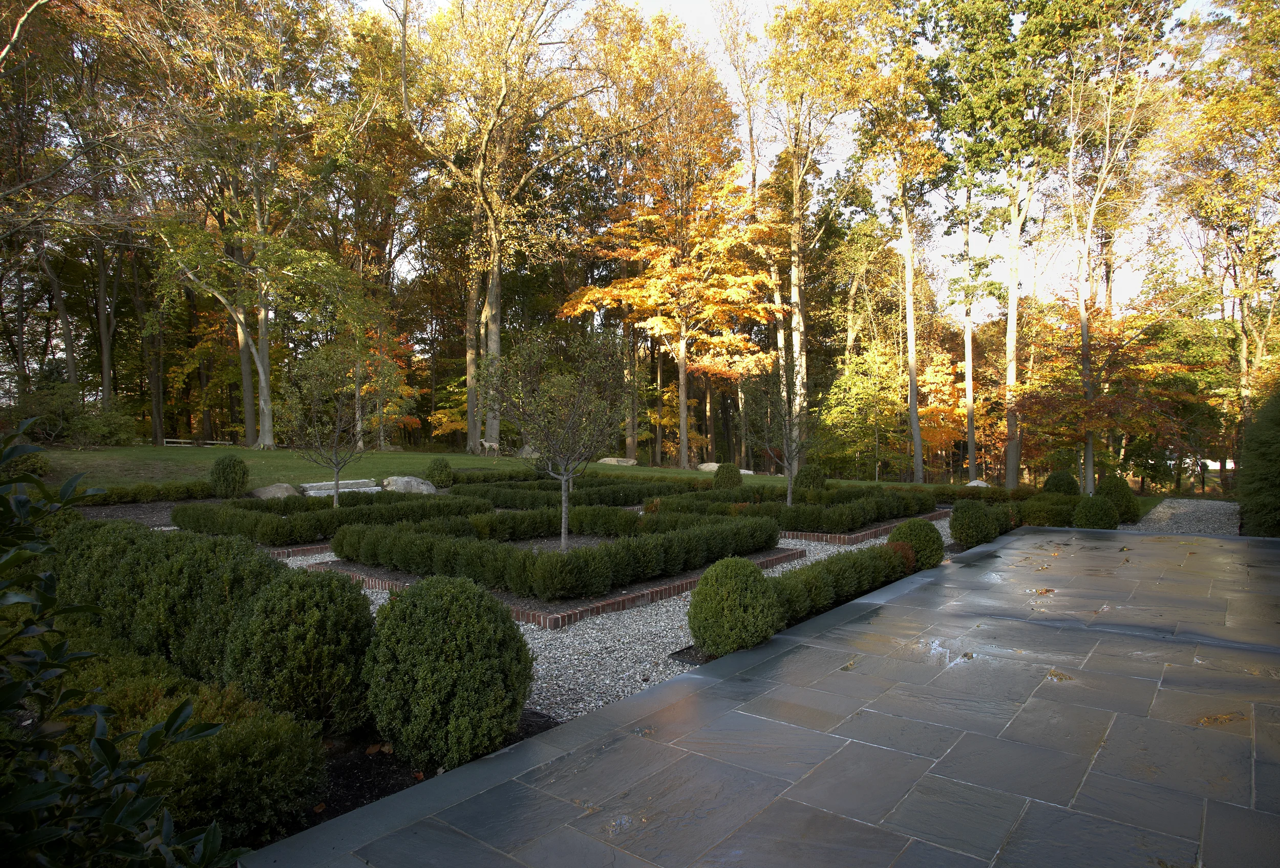 Backyard.jpg