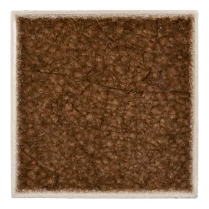 Acorn.jpg
