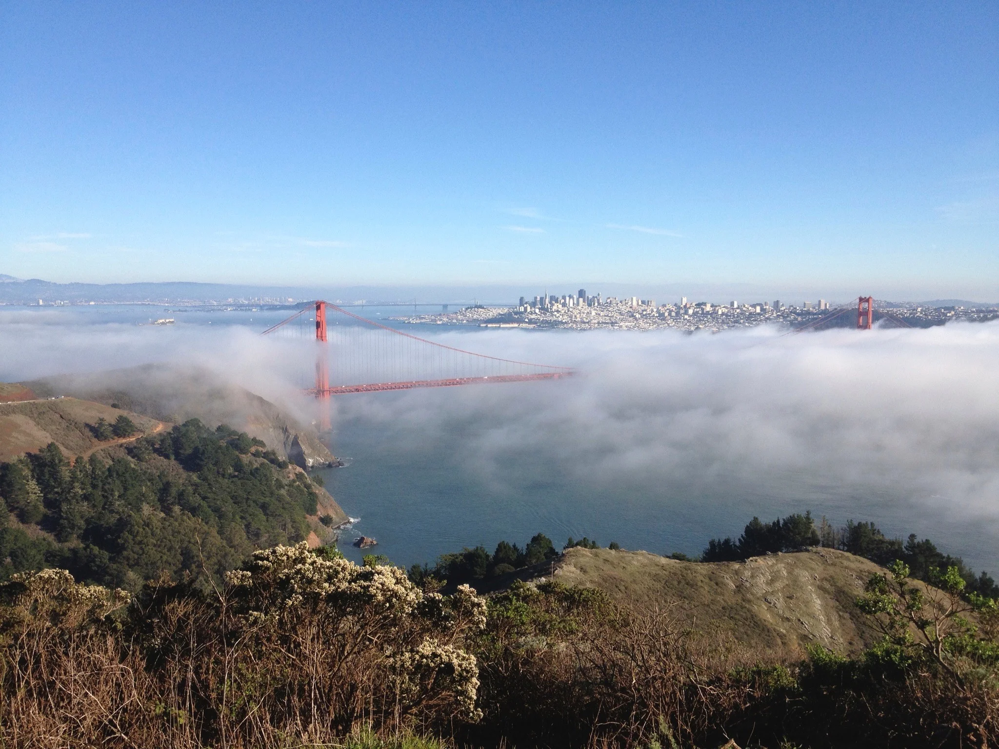 SanFran-11-12.jpg
